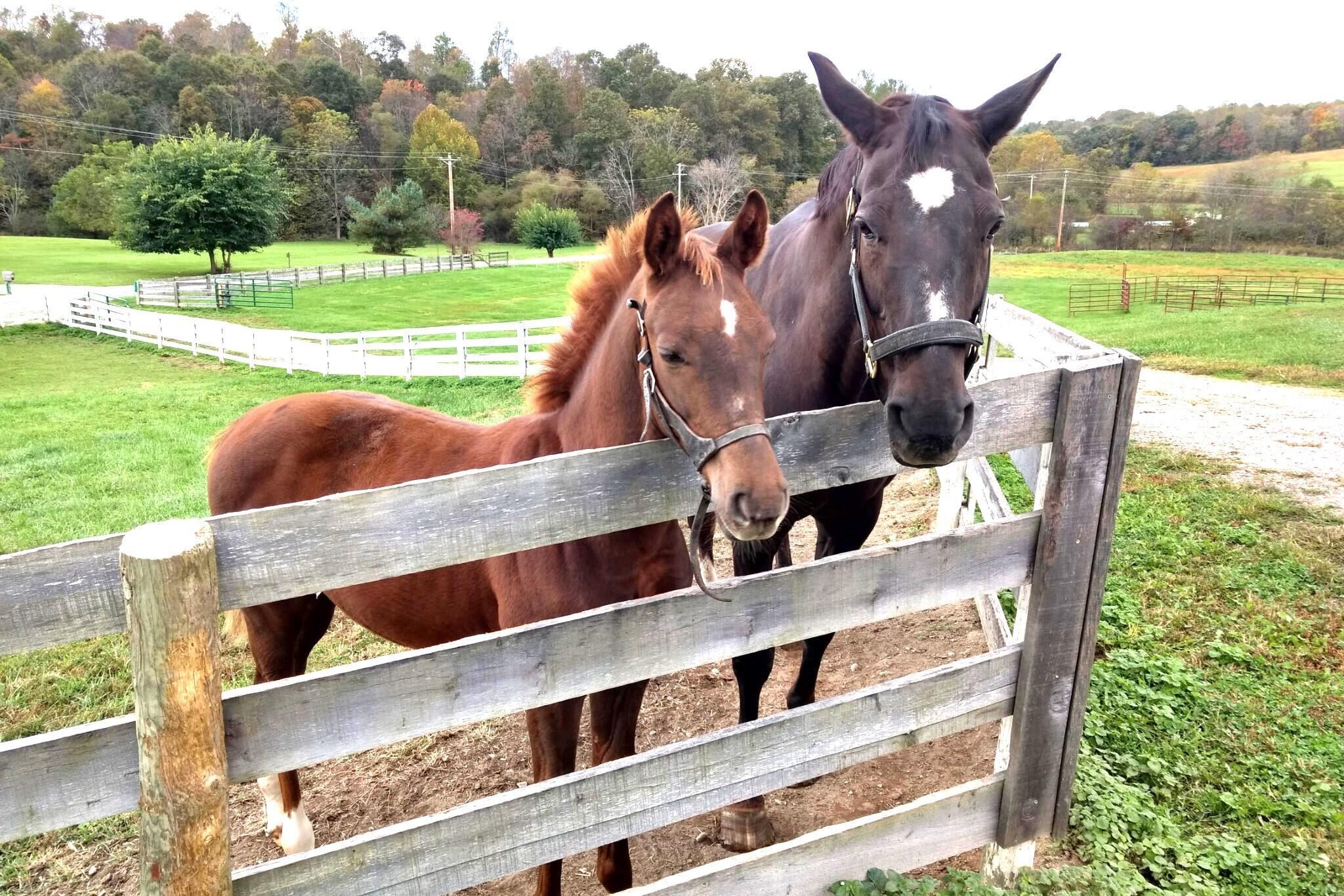 McArthur, Ohio 45651, United States, 2 Bedrooms Bedrooms, ,2 BathroomsBathrooms,Residential,Active,101688
