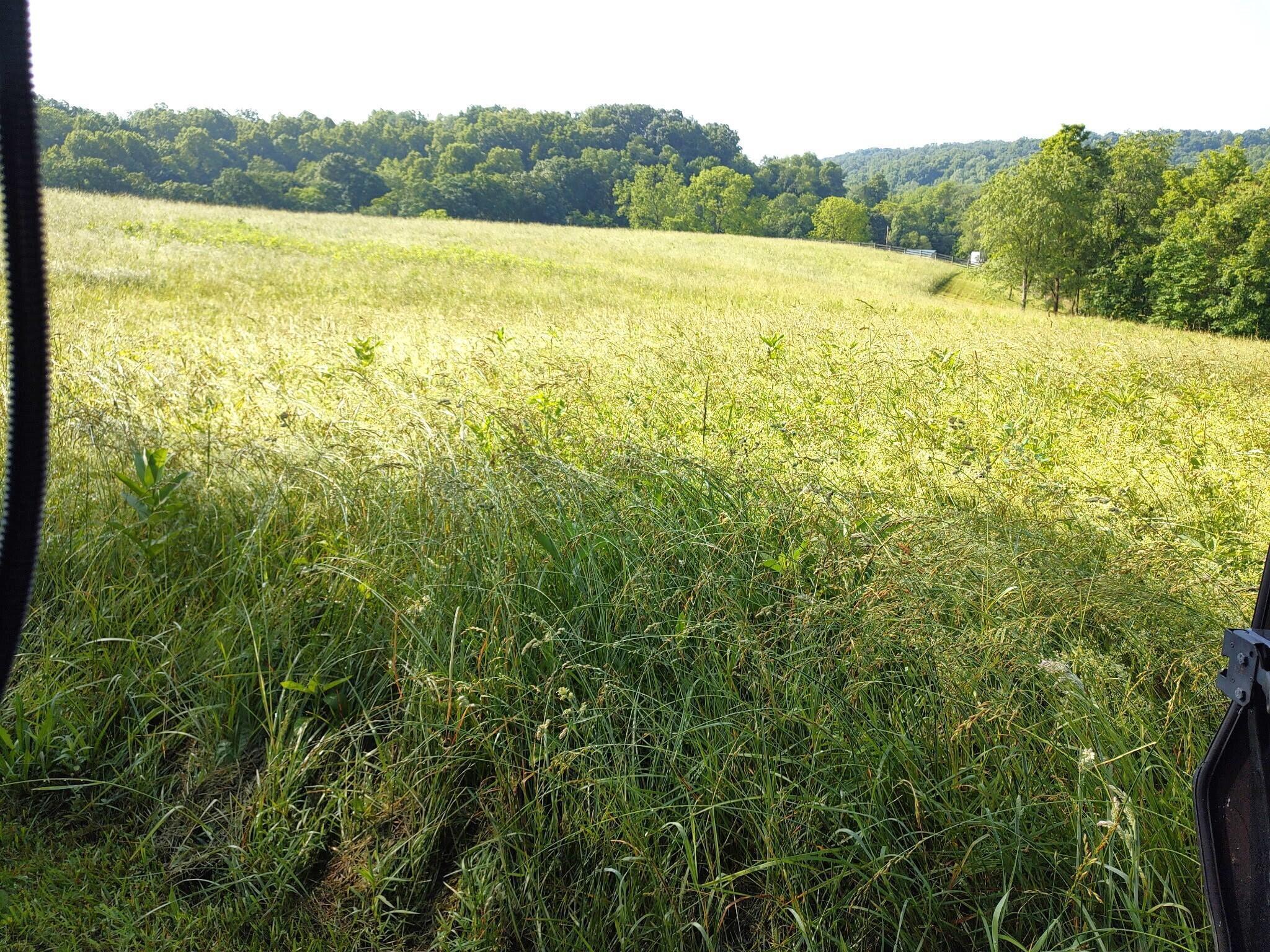 McArthur, Ohio 45651, United States, 2 Bedrooms Bedrooms, ,2 BathroomsBathrooms,Residential,Active,101688