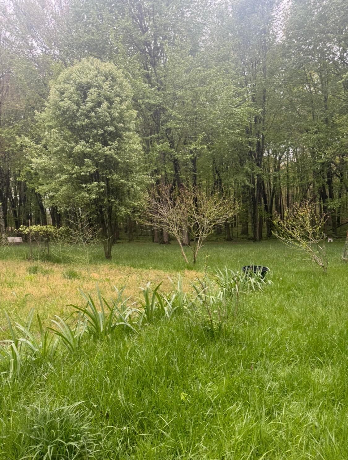 4135 Township Road 21