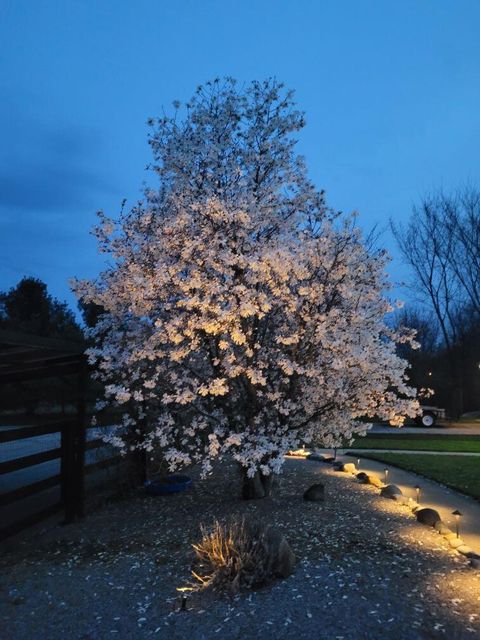 Tiny photo for 450 State Route 314, Centerburg, OH 43011 (MLS # 226004789)