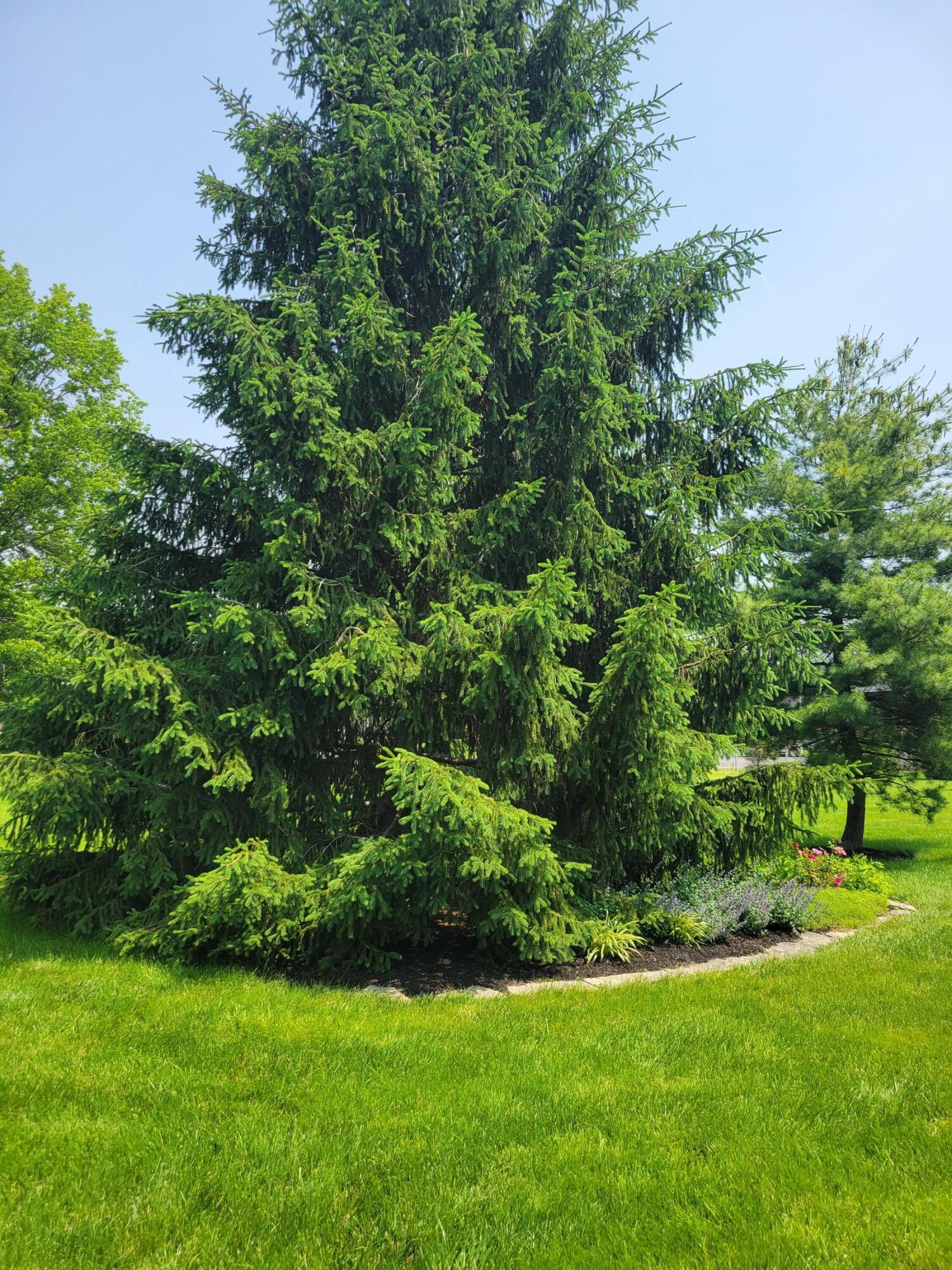 2294 Perkins Court, Columbus, Ohio image 30