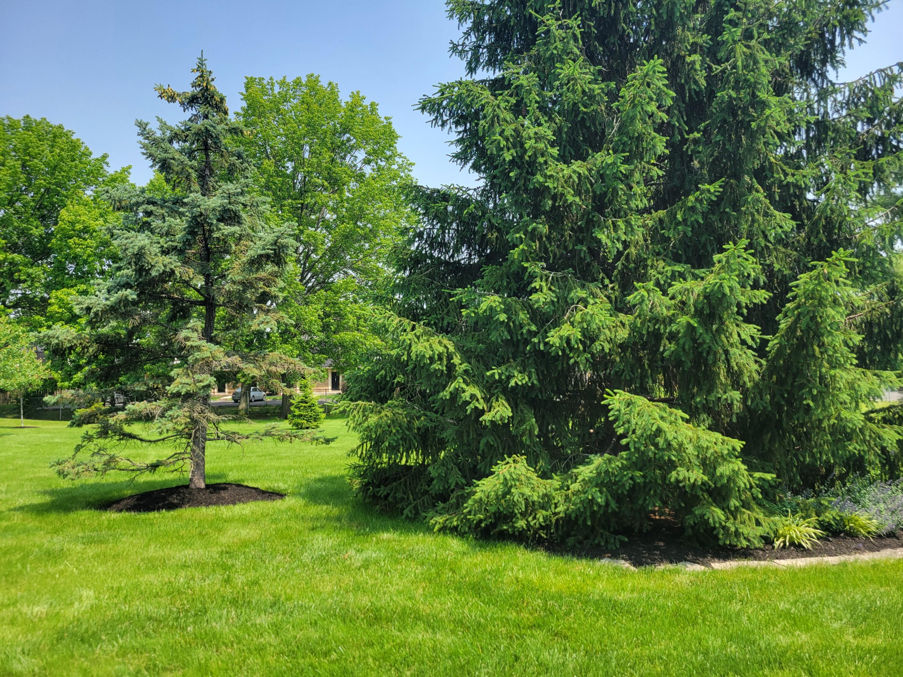 2294 Perkins Court, Columbus, Ohio image 6