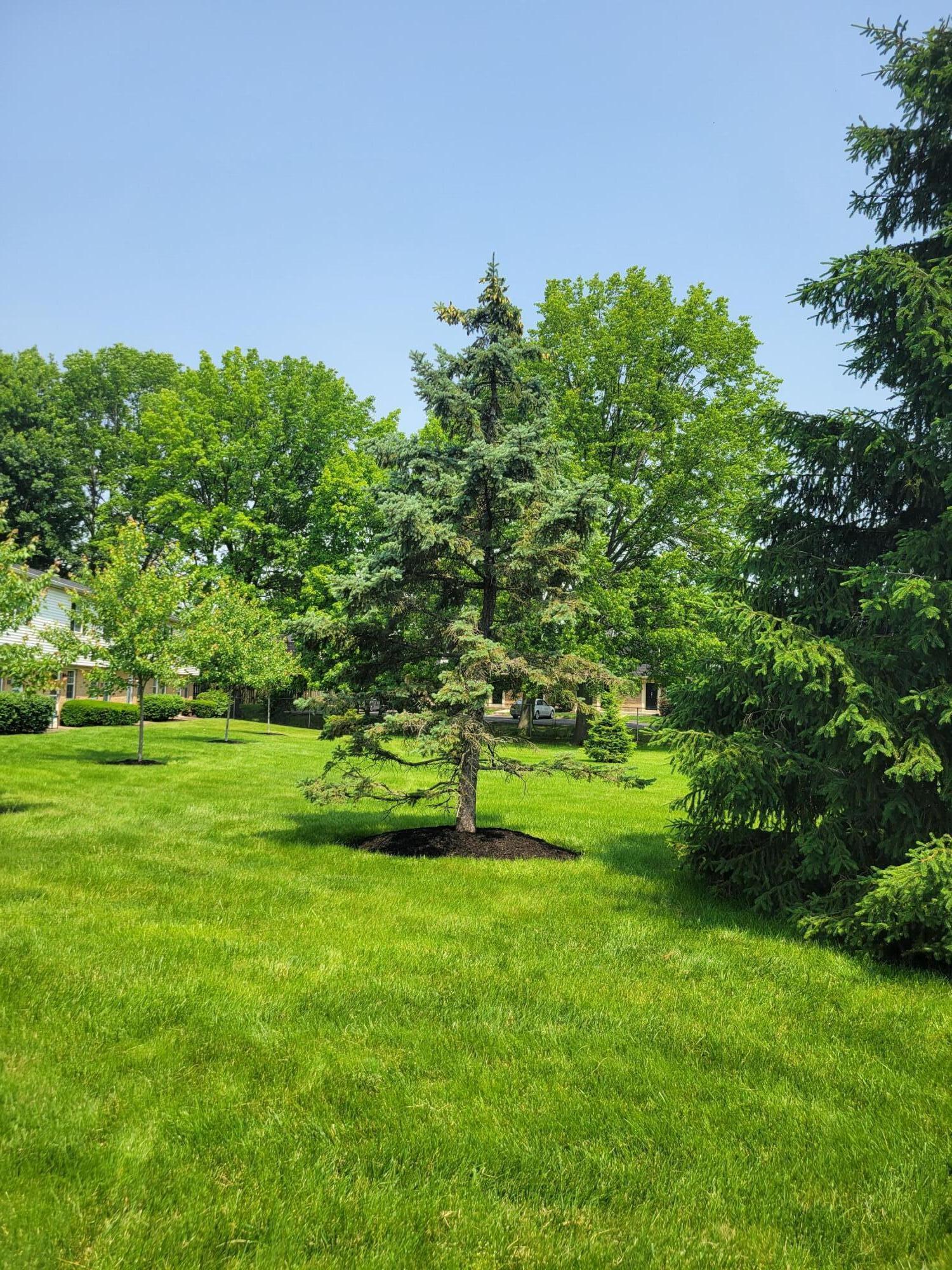 2294 Perkins Court, Columbus, Ohio image 31