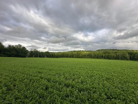Vacant Land For Sale - 9164 Township Rd 51<br/> Mount Perry, OH 43760