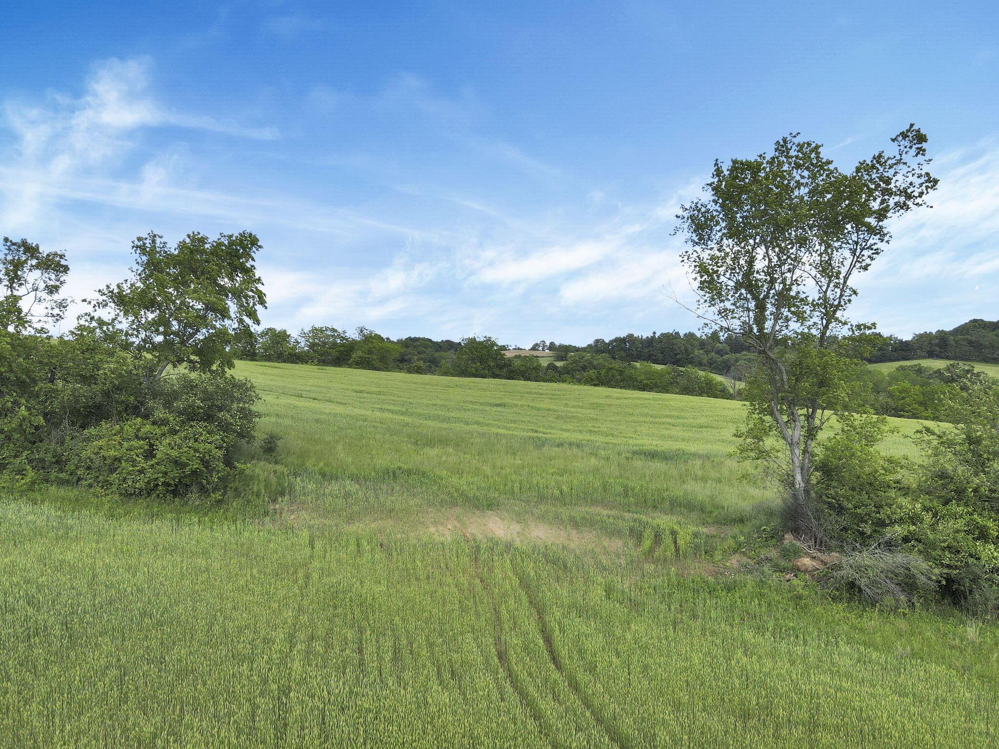 11559 Somerset Road, Thornville, Ohio image 12