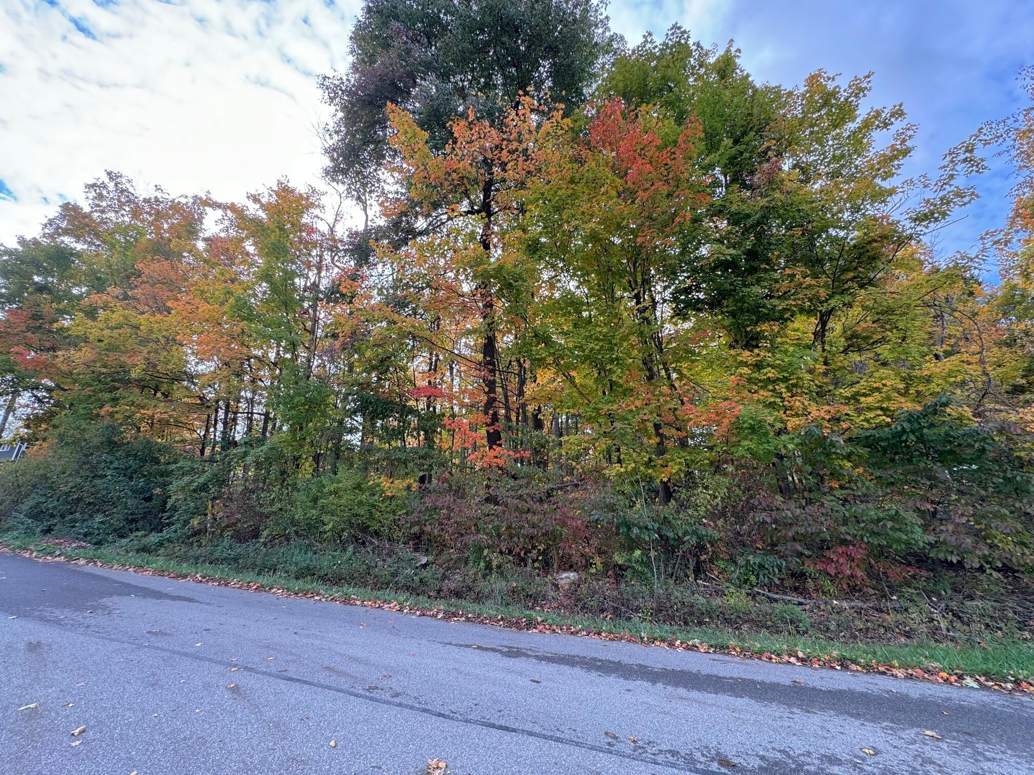 Mercer Avenue #LOT 1854, Mansfield, Ohio image 3