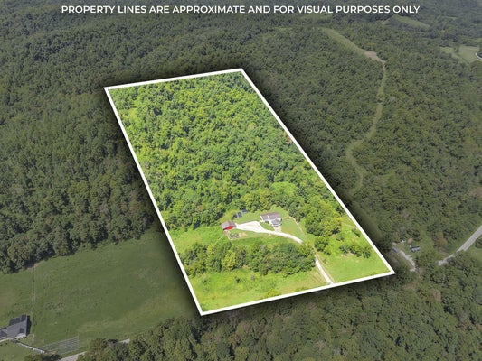 50023 GLADY RD, SUMMERFIELD, OH 43788 - Image 2e5d8cb26f62c7c84bc7cb0fe80a11eb/2330887674