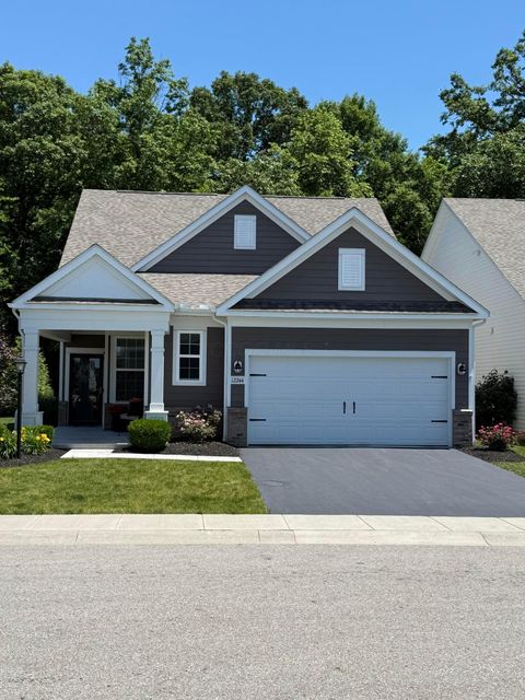 Photo of 12244 Splashtail Court Lot 160 #Lot 160, Pickerington, OH 43147 (MLS # 226020496)