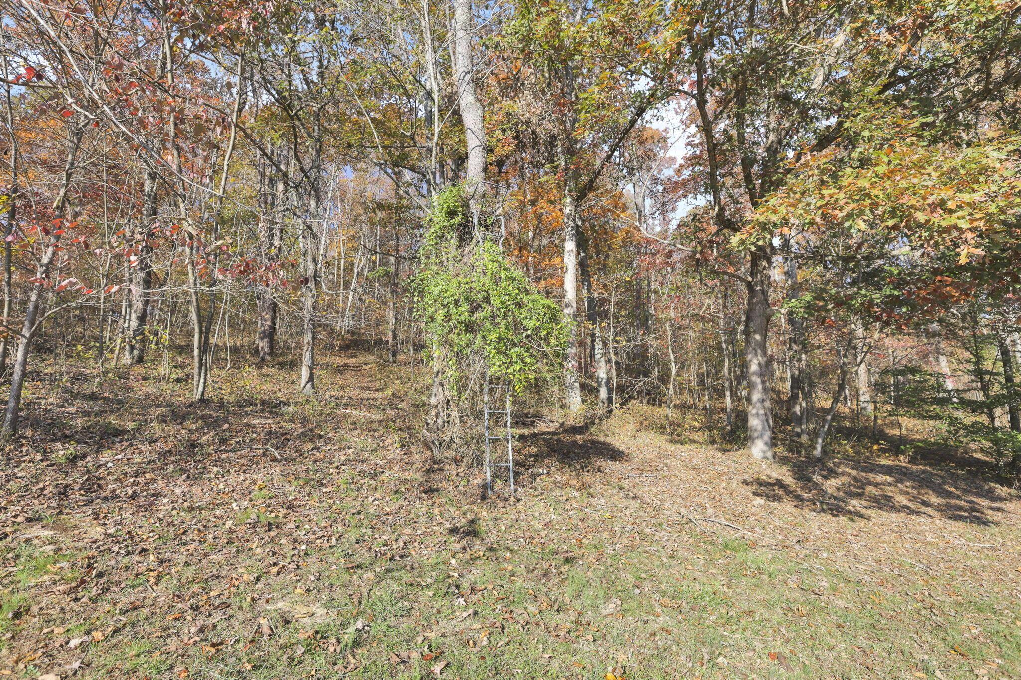 5205 Limerick Road, Jackson, Ohio image 46