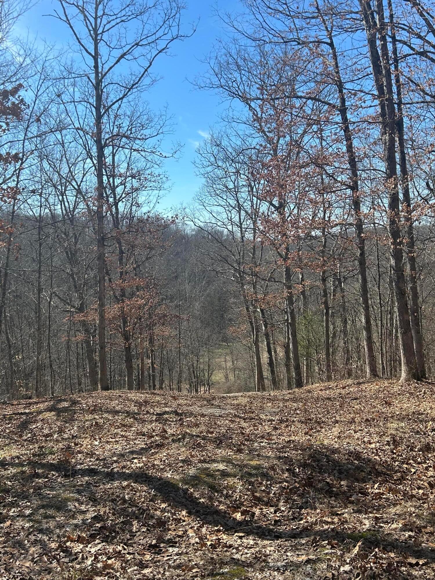 Loudermilk Road, Glouster, Ohio image 14