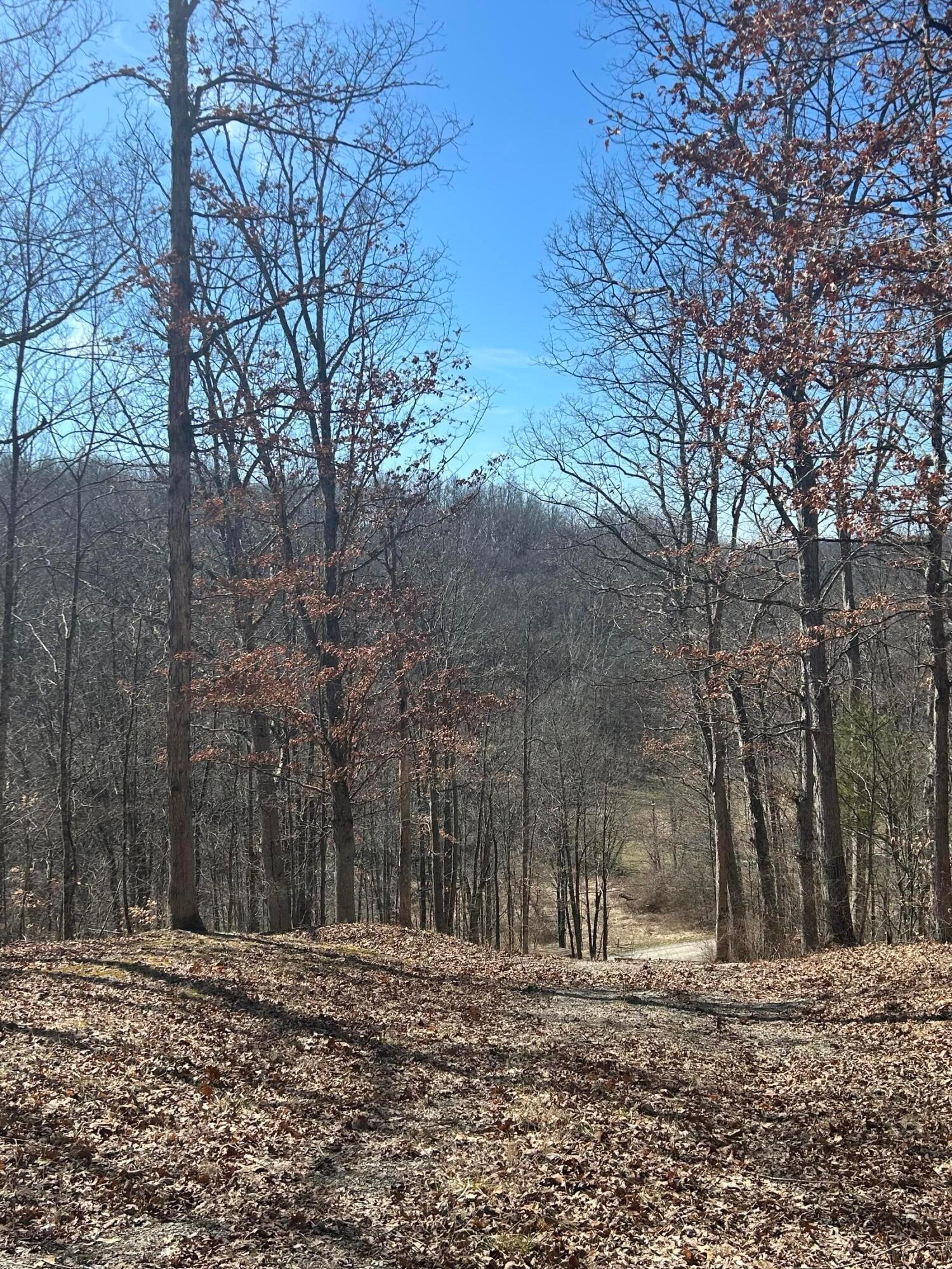 Loudermilk Road, Glouster, Ohio image 15