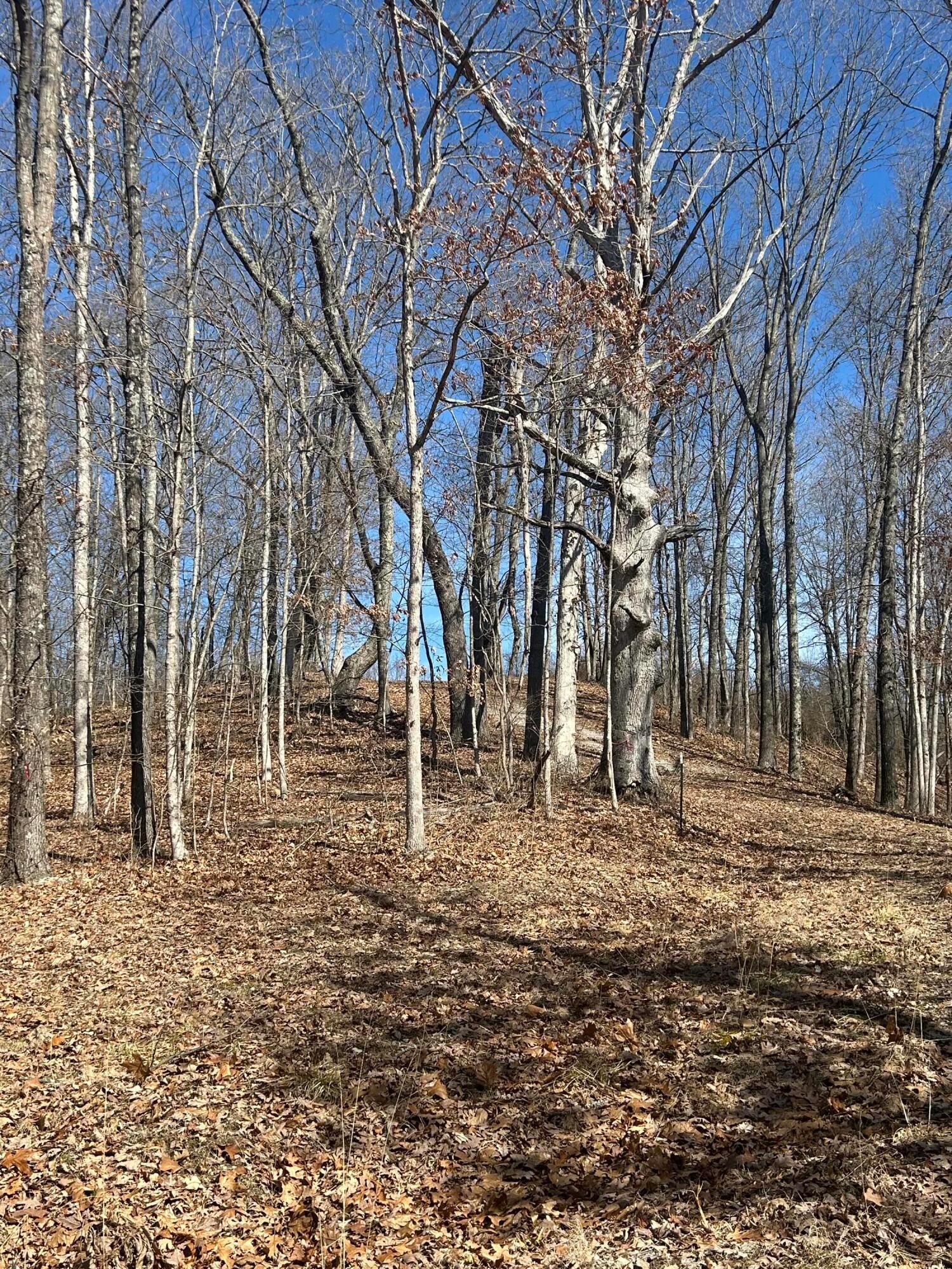 Loudermilk Road, Glouster, Ohio image 16