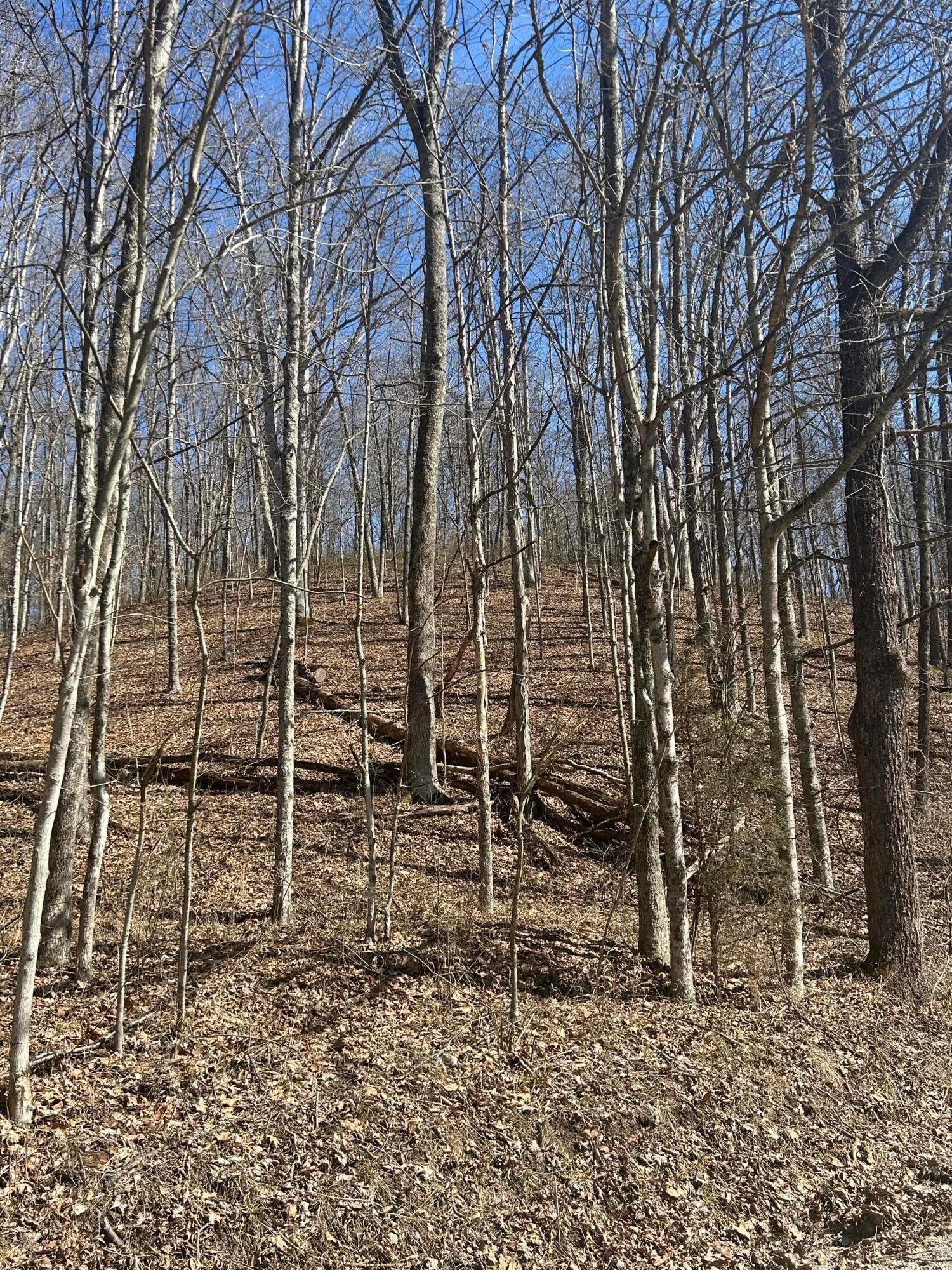 Loudermilk Road, Glouster, Ohio image 13