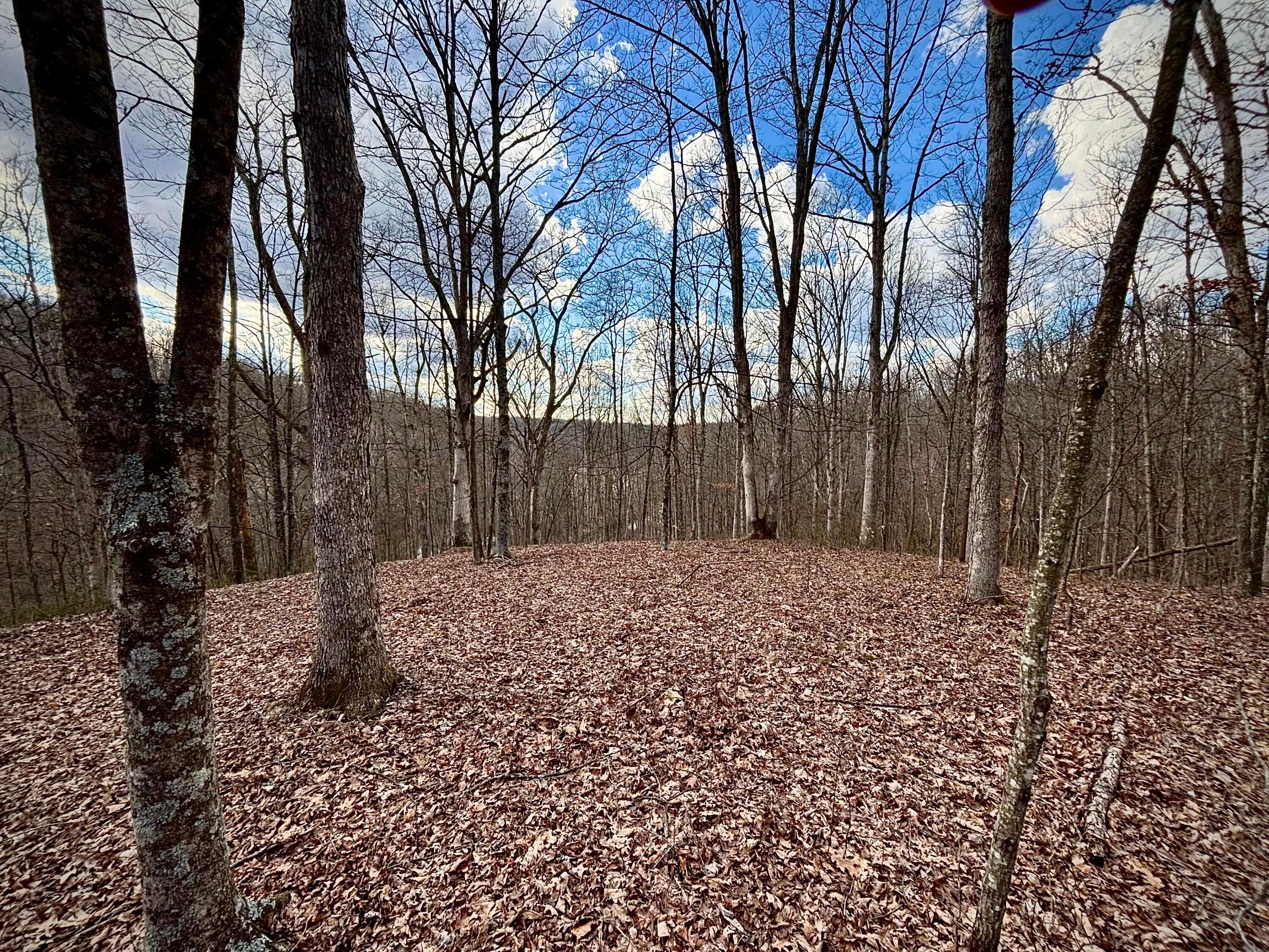 Loudermilk Road, Glouster, Ohio image 1