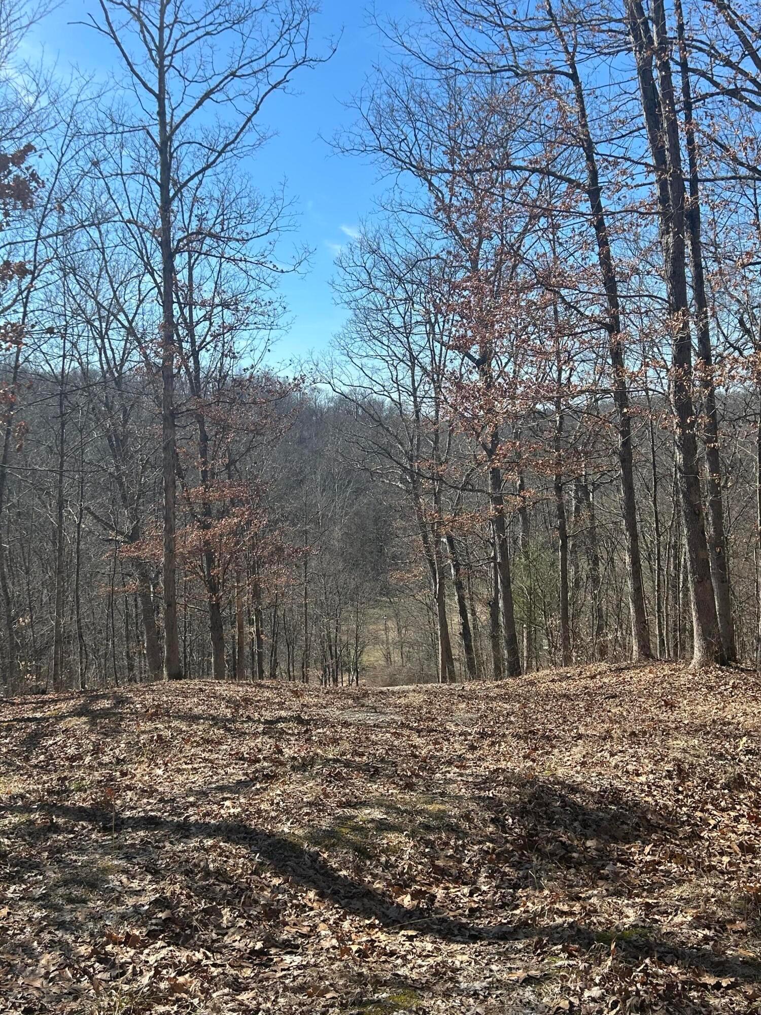 Loudermilk Road, Glouster, Ohio image 17