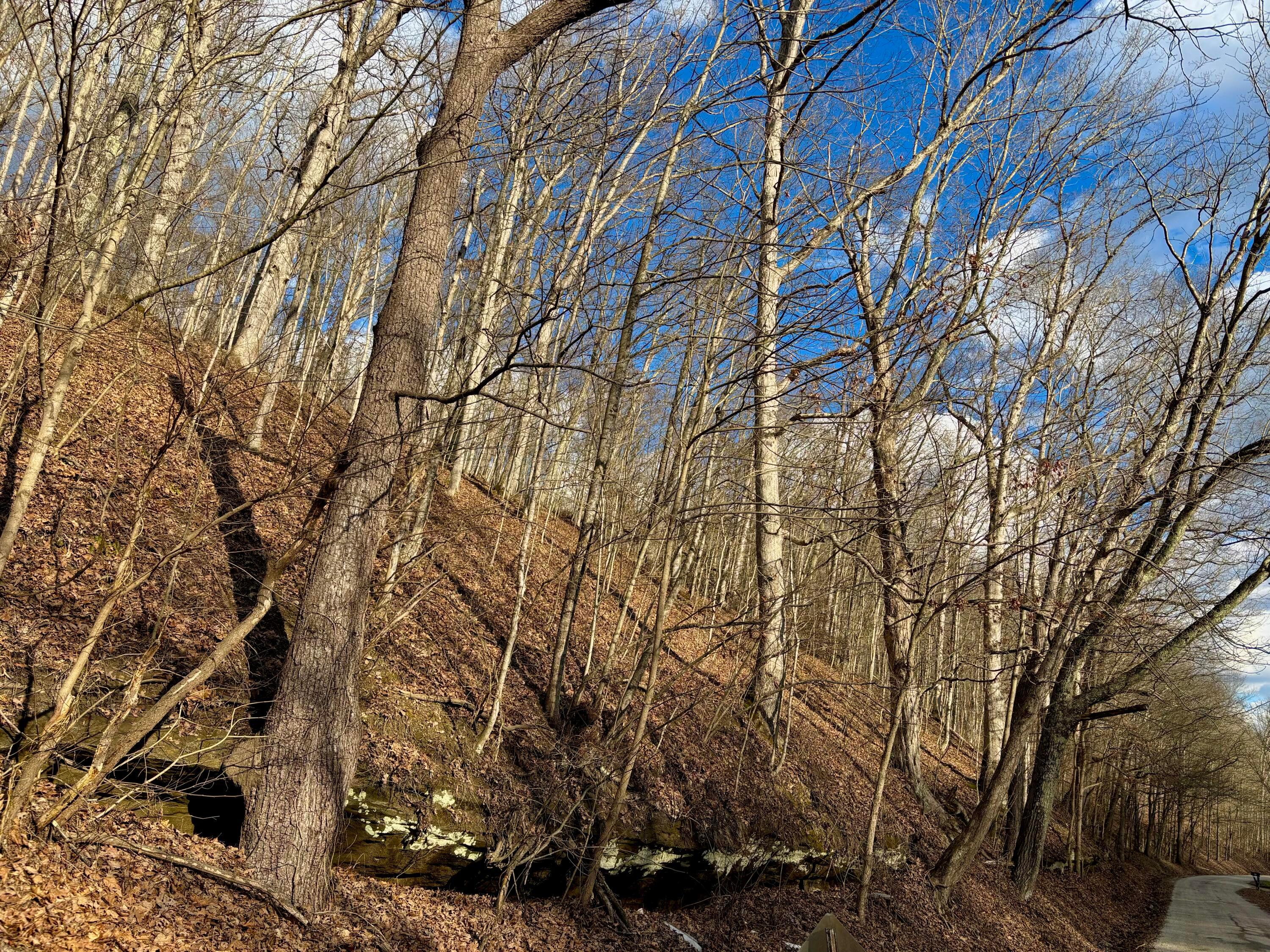 Loudermilk Road, Glouster, Ohio image 12