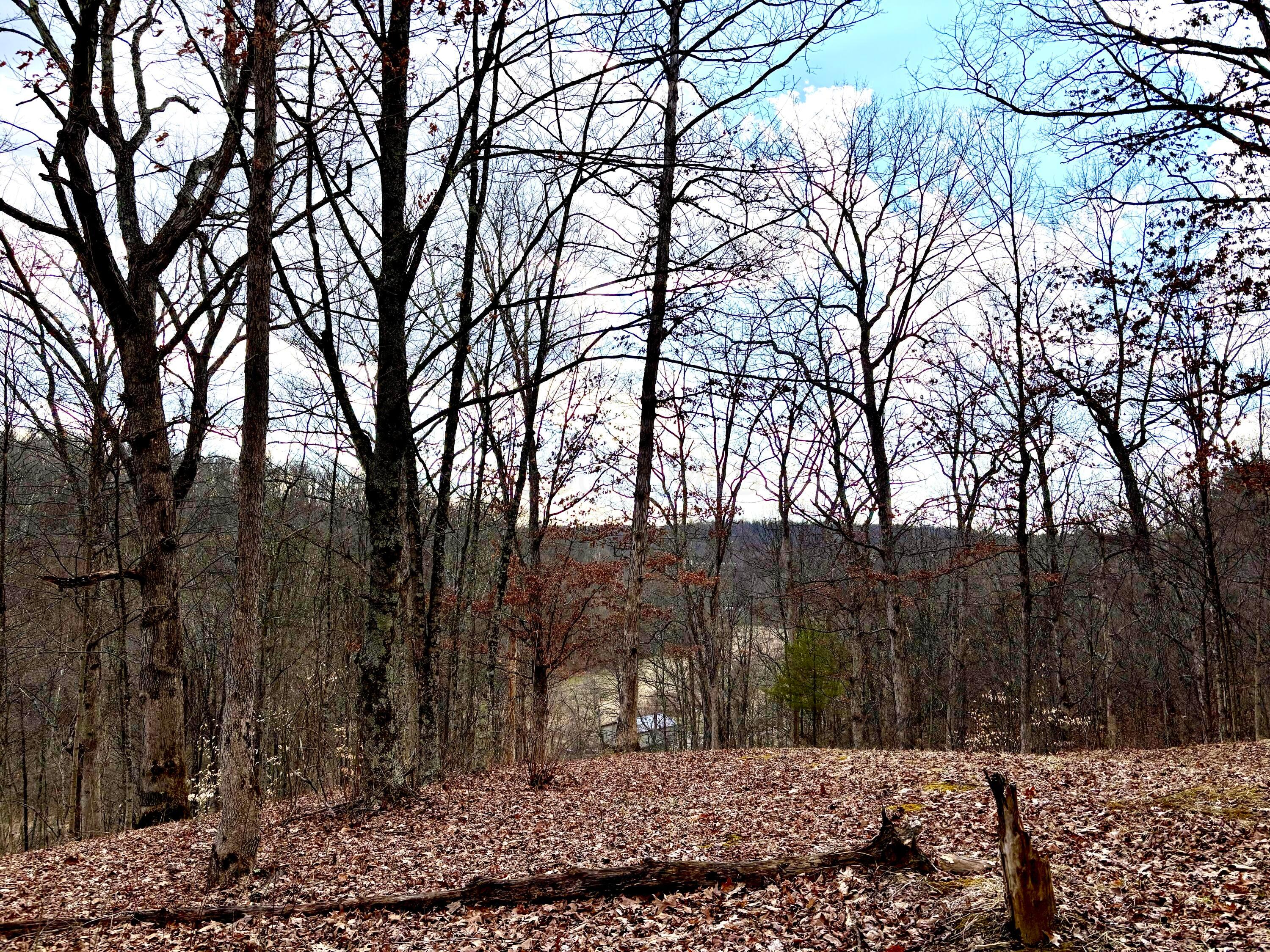 Loudermilk Road, Glouster, Ohio image 18