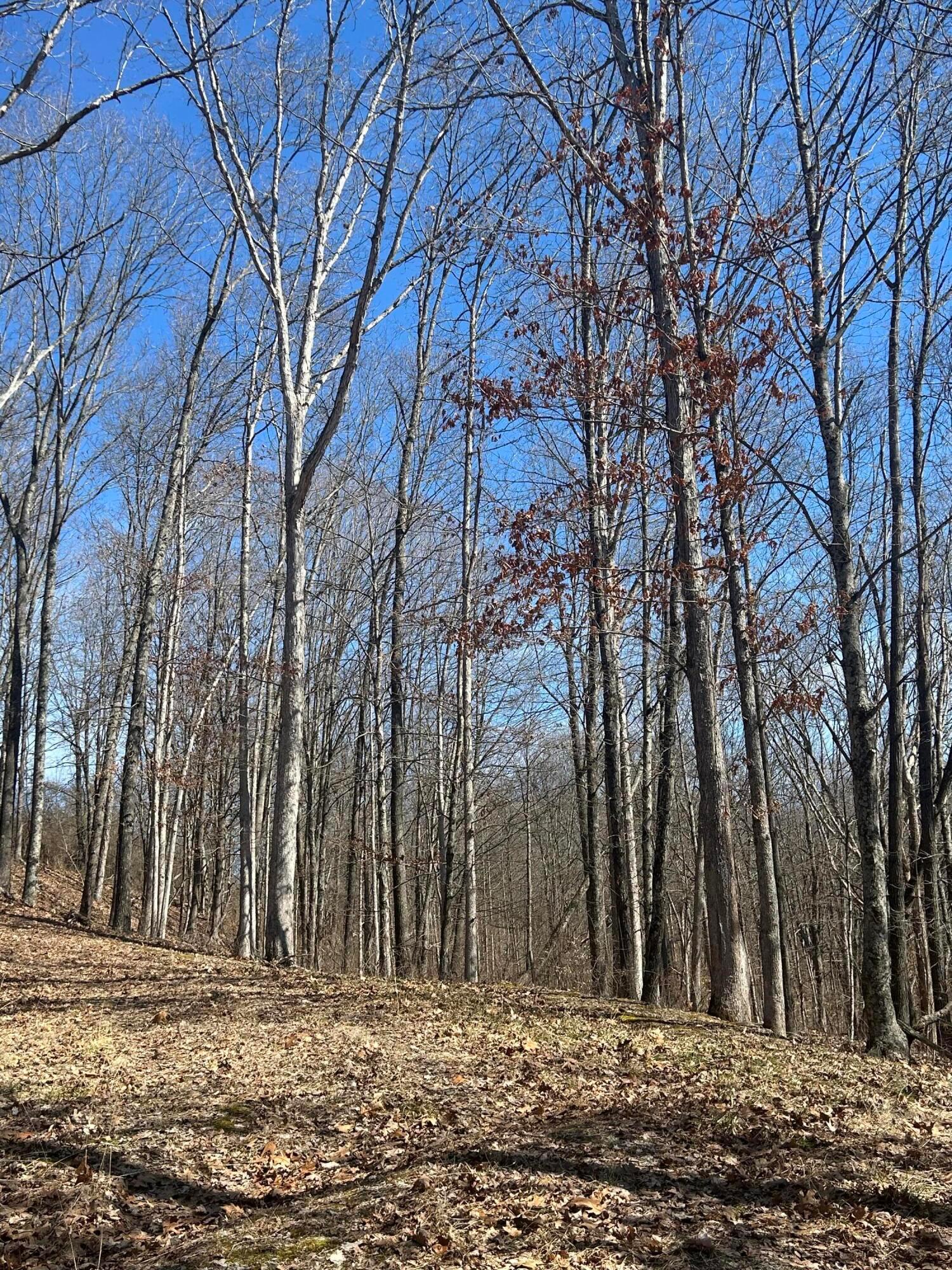 Loudermilk Road, Glouster, Ohio image 2