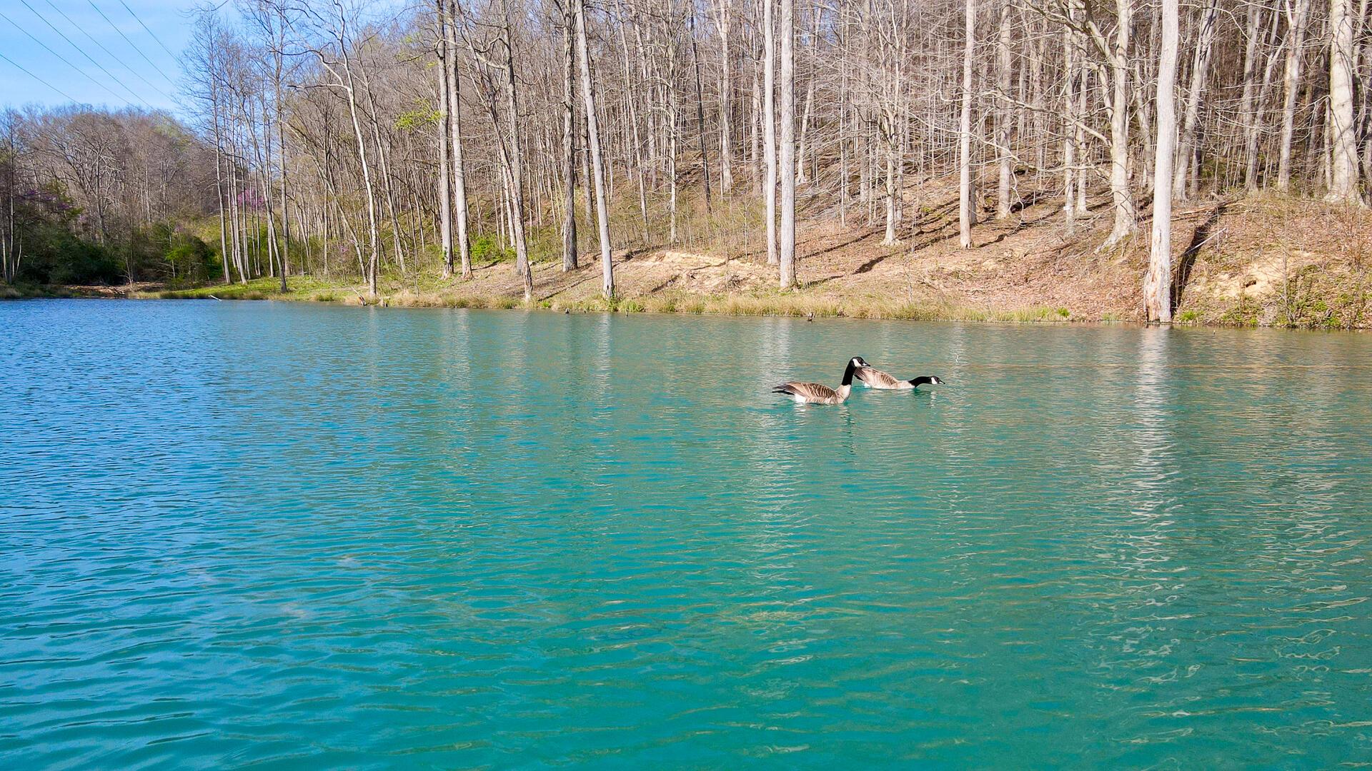 0 Little Kyger Road (Little Kyger Tract 7)