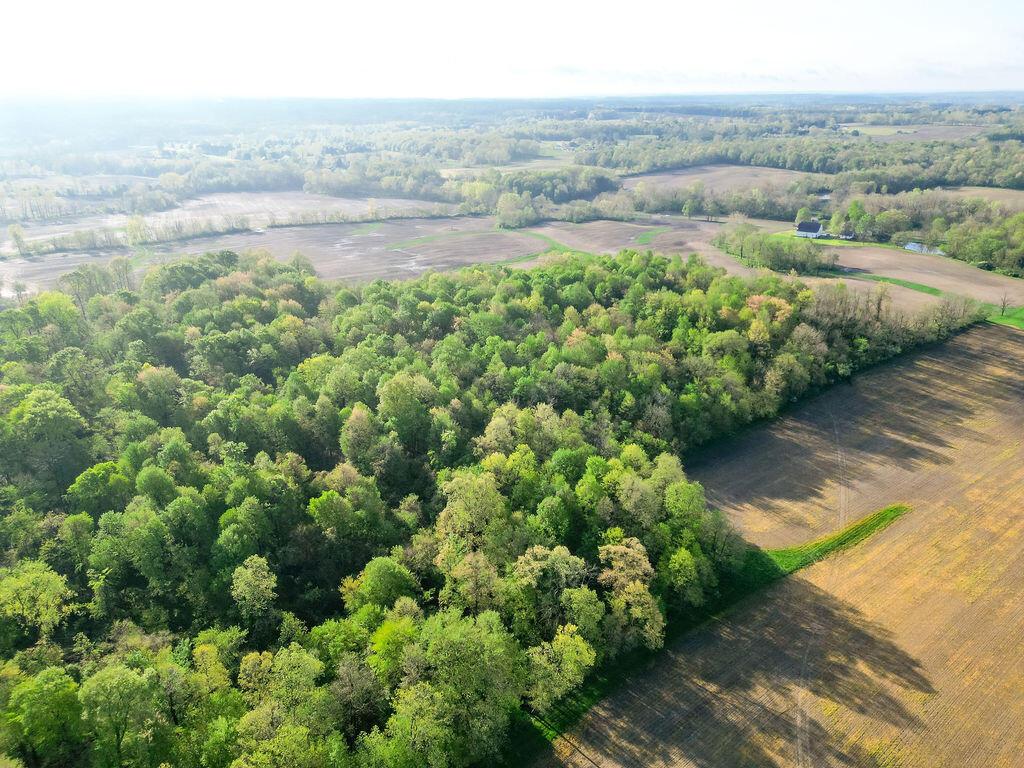 Dutch Lane, Johnstown, Ohio image 10