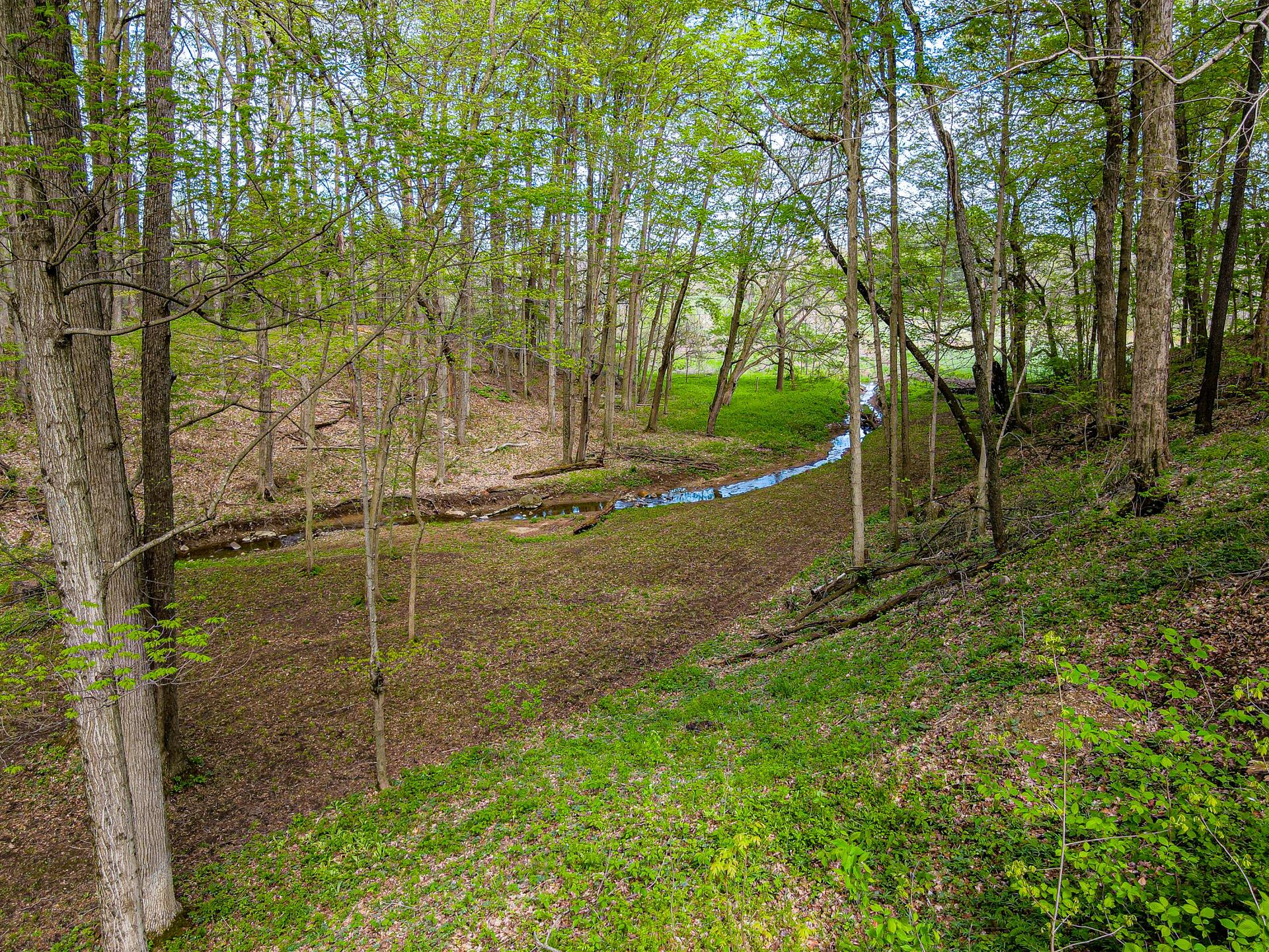 4731 Township Road 96, Mount Gilead, Ohio image 47