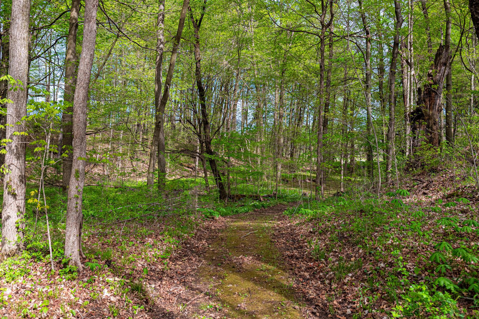 4731 Township Road 96, Mount Gilead, Ohio image 50