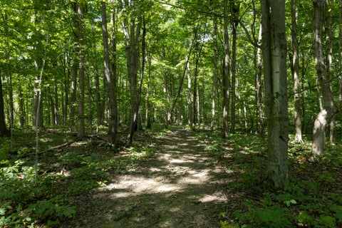 Tiny photo for 16357 Hartford Road, Sunbury, OH 43074 (MLS # 226023789)