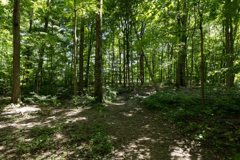 Tiny photo for 16357 Hartford Road, Sunbury, OH 43074 (MLS # 226023789)