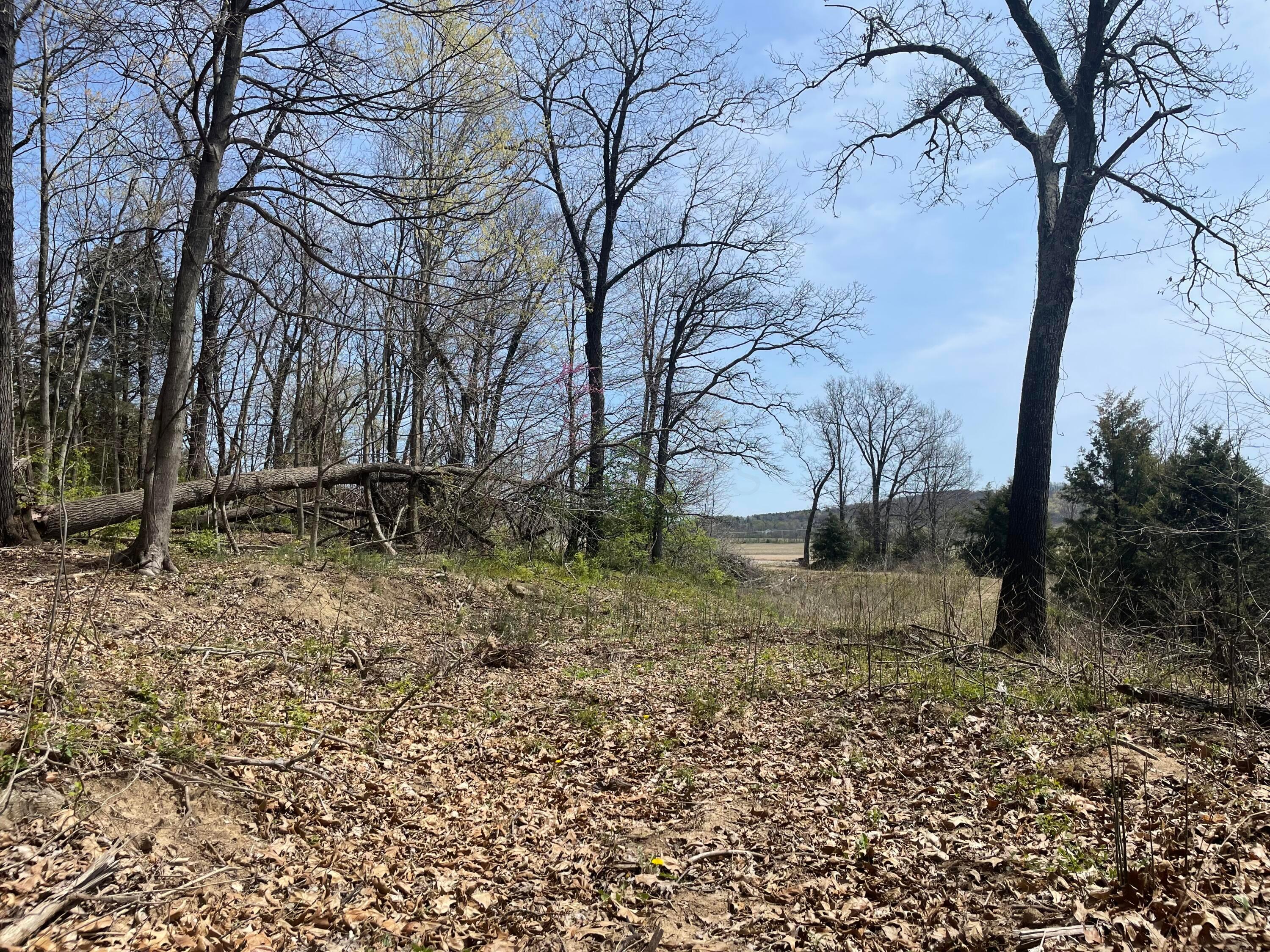 1550 Ragged Ridge Road, Frankfort, Ohio image 13