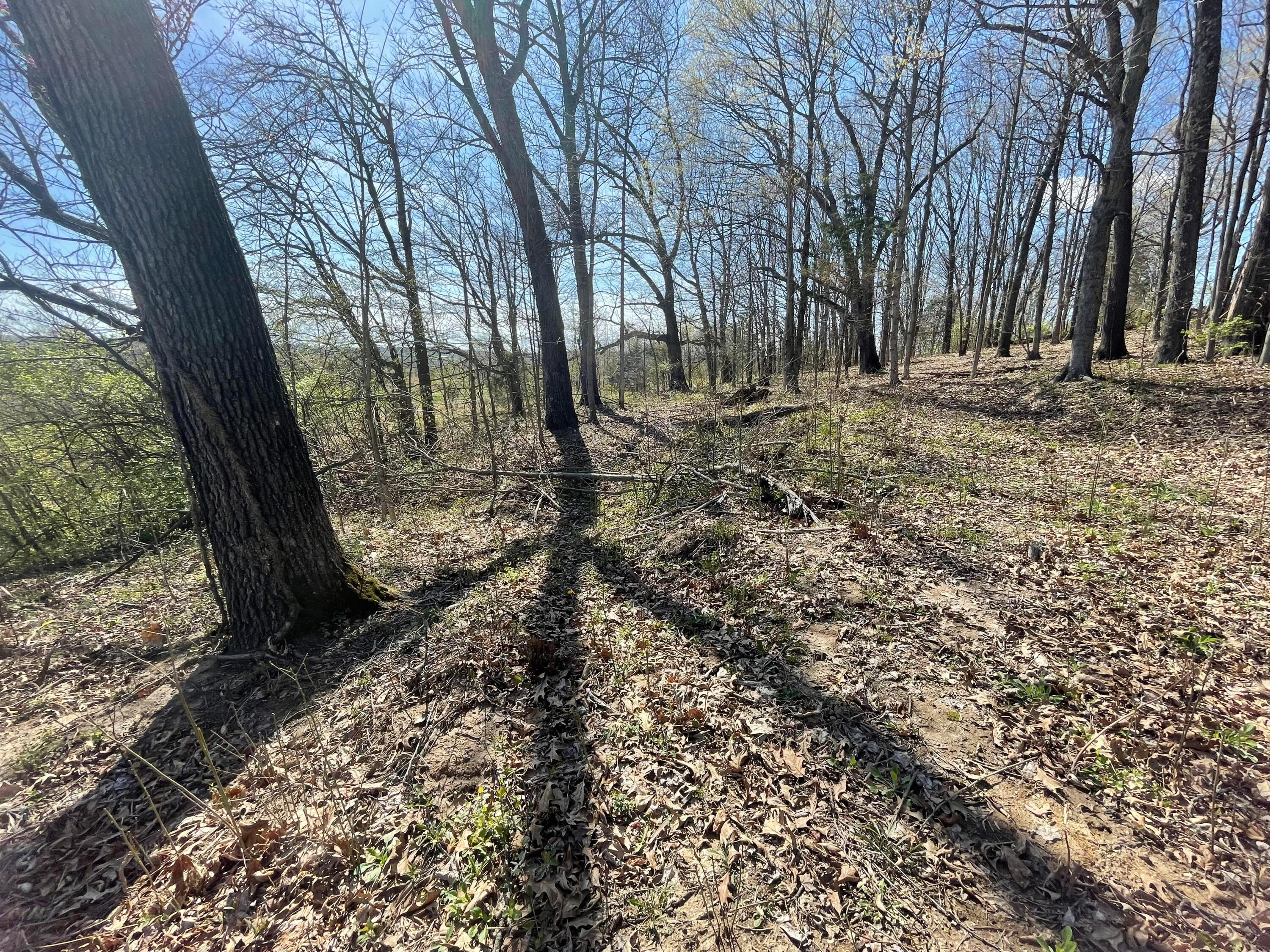 1550 Ragged Ridge Road, Frankfort, Ohio image 2