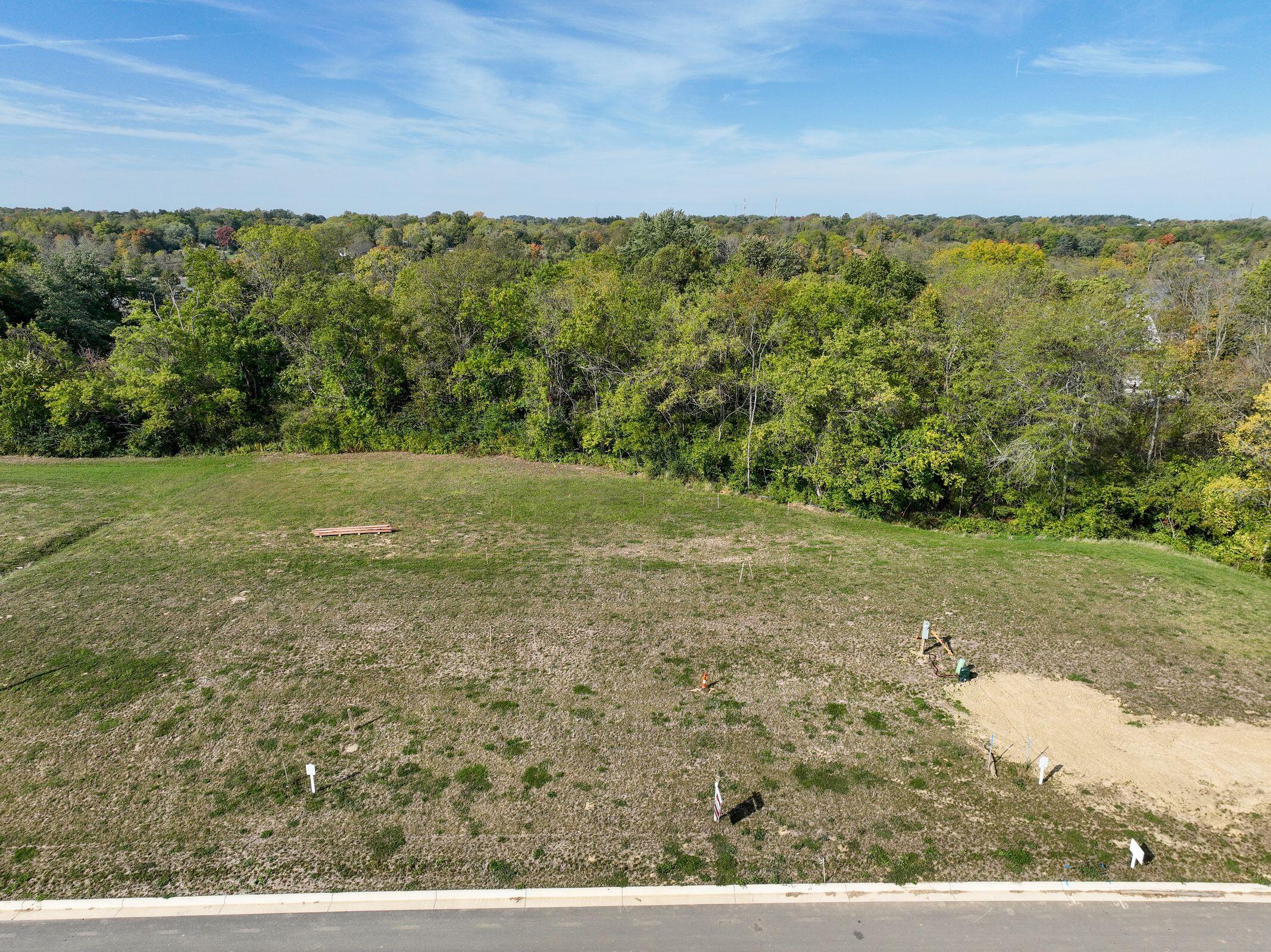 Photo 47 of 58 of 6555 Scioto Bluff Court land