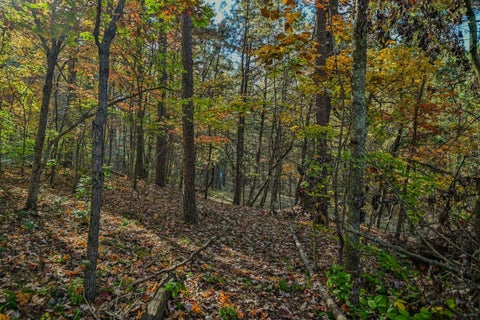 Tiny photo for 35922 Fairview Road, Ray, OH 45672 (MLS # 226040975)