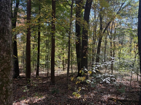 Photo of 0 Stage Coach Road, Logan, OH 43138 (MLS # 226040643)