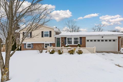 Photo of 343 Sherwood Drive, Lexington, OH 44904 (MLS # 226003812)