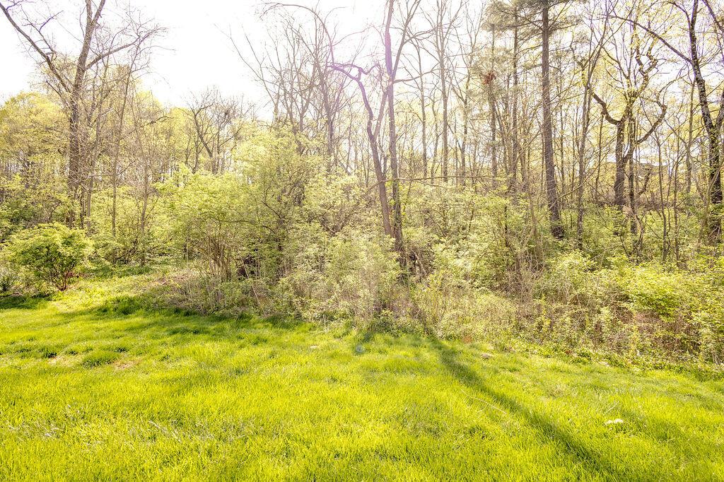 584 Spring Brook, Westerville, Ohio image 38