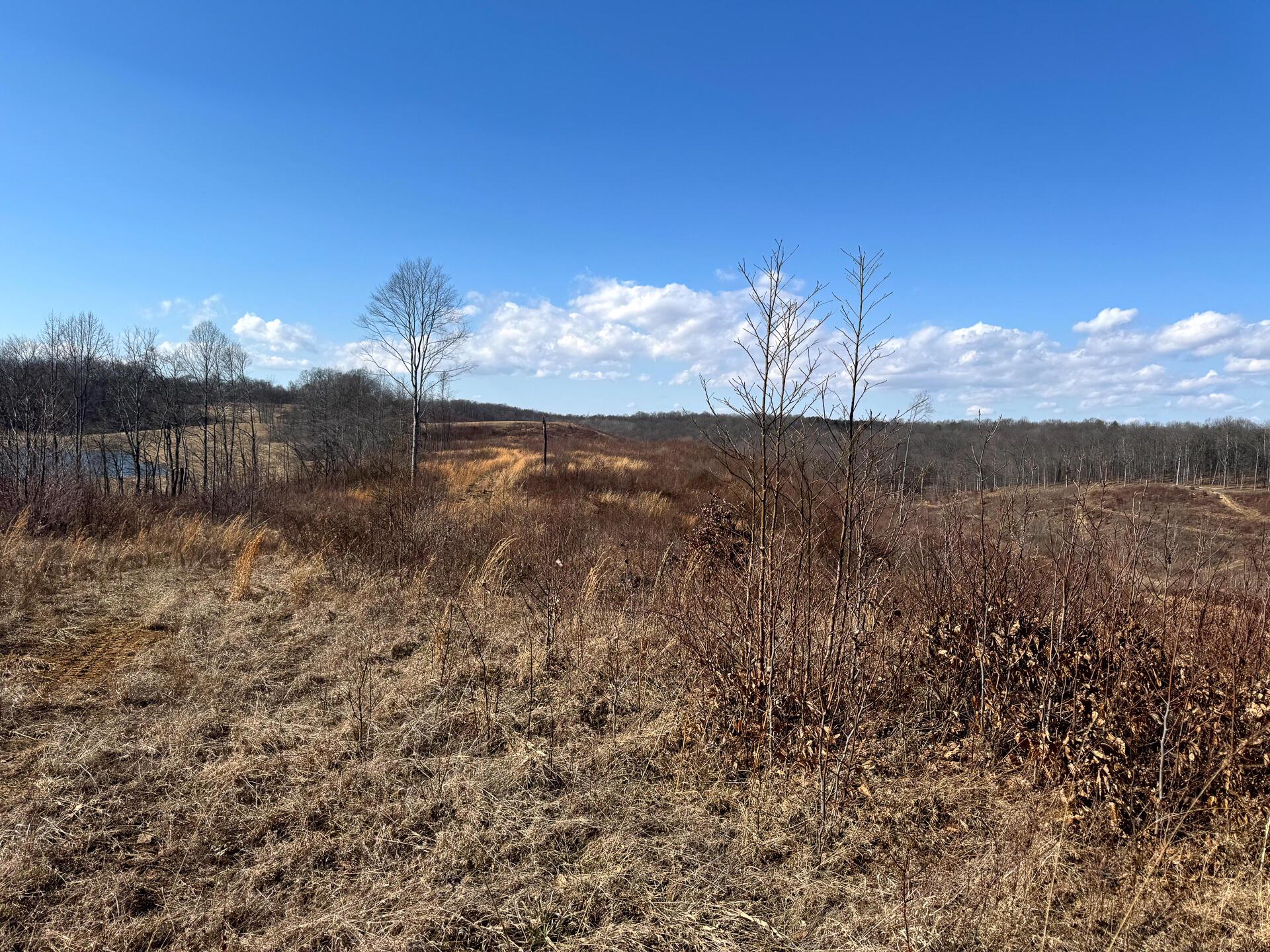 0 Sulphur Spring Road SE (105 Acre Sulphur Springs)