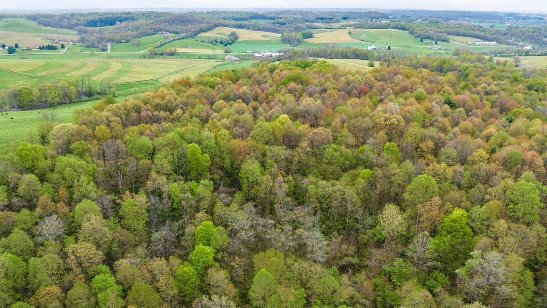 9445 Cooks Hill Road, Glenford, Ohio image 17