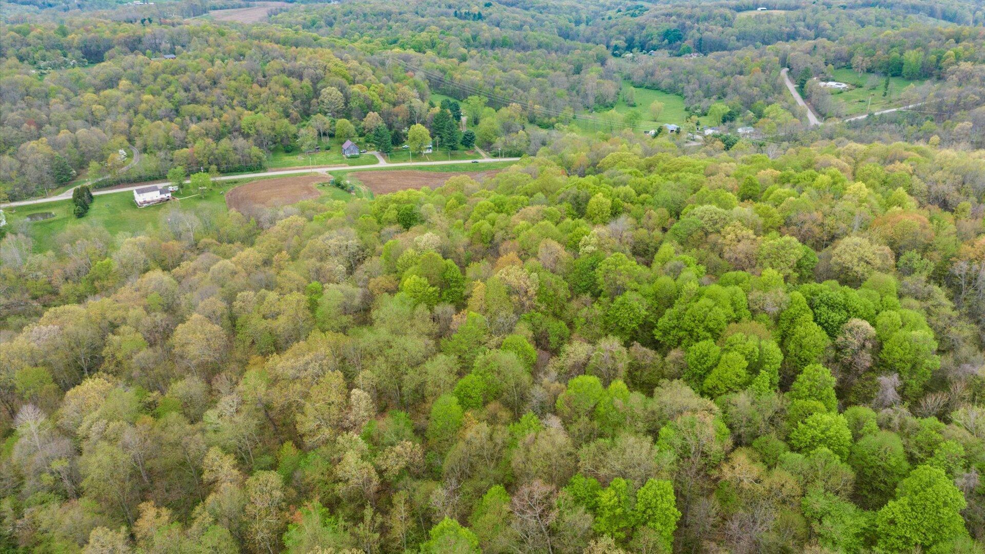 9445 Cooks Hill Road, Glenford, Ohio image 13