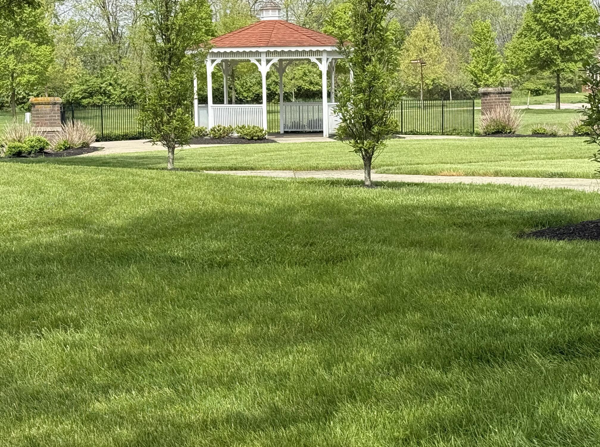 8101 Oaktree Drive, Dublin, Ohio image 41
