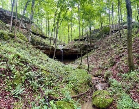 Photo of 23085 Jordan Run Road, Coolville, OH 45723 (MLS # 226025243)