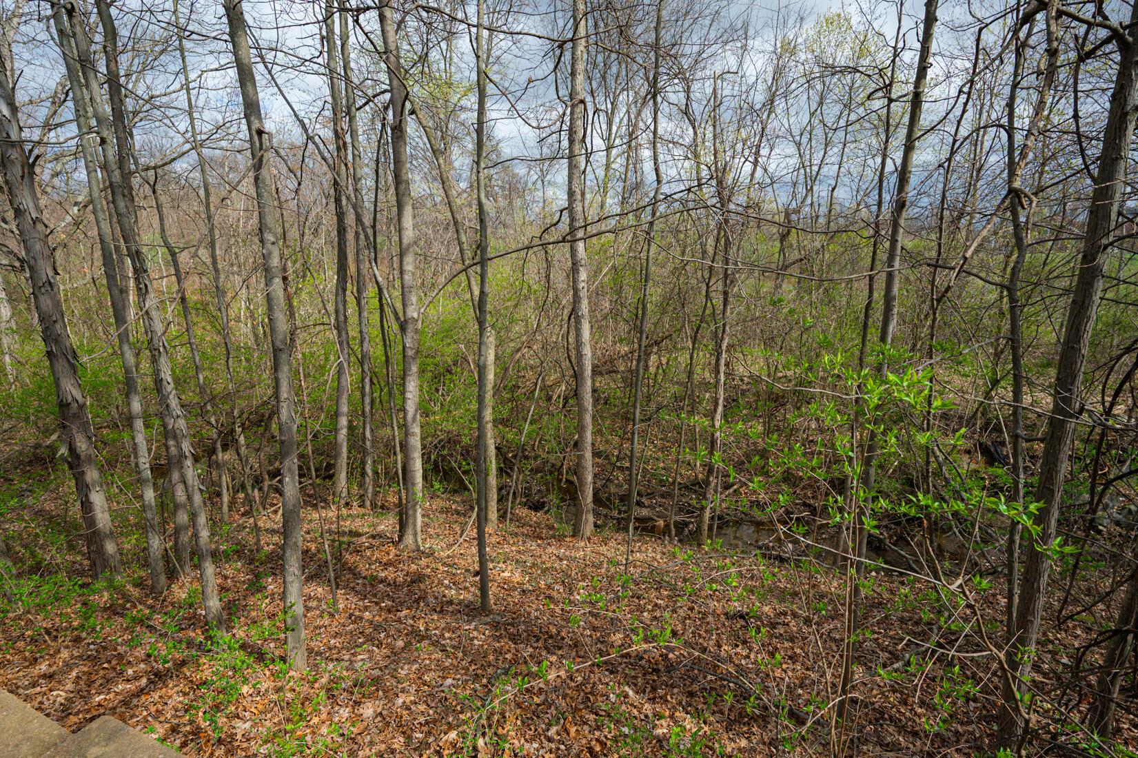 7460 Harness Way, Delaware, Ohio image 4