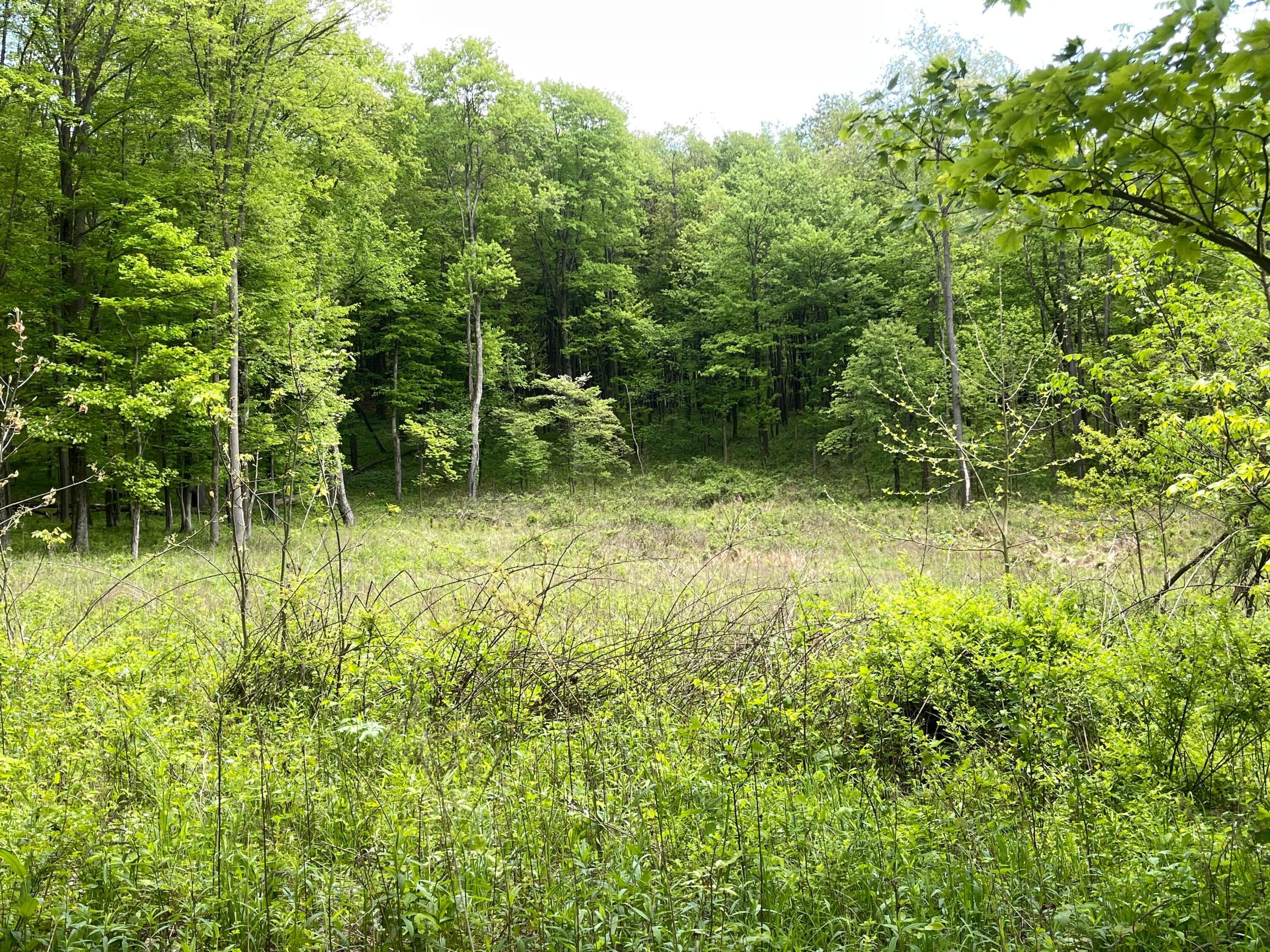 12929 Pleasant Valley Road, Utica, Ohio image 27
