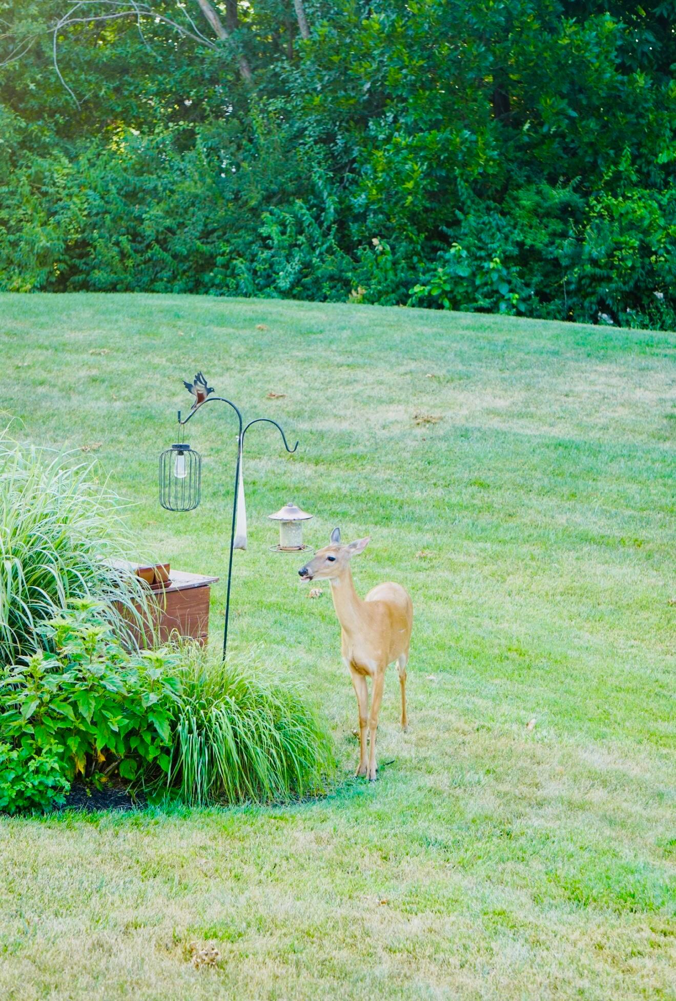 3950 Granite Peak Drive, Grove City, Ohio image 36