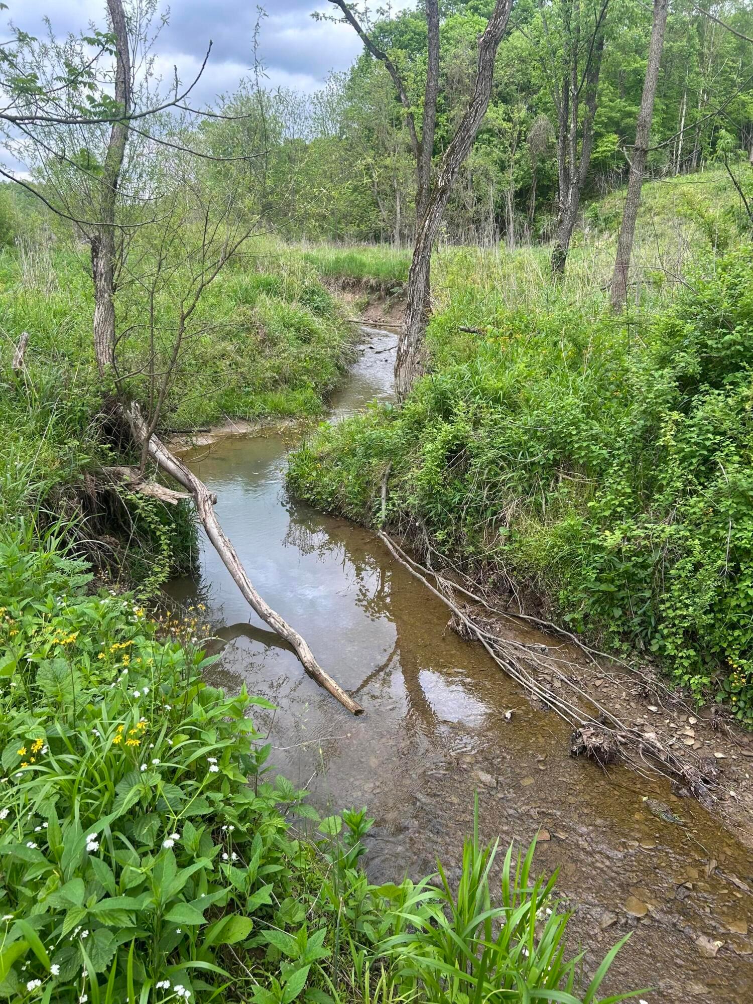 Township Rd 4, Frazeysburg, Ohio image 7