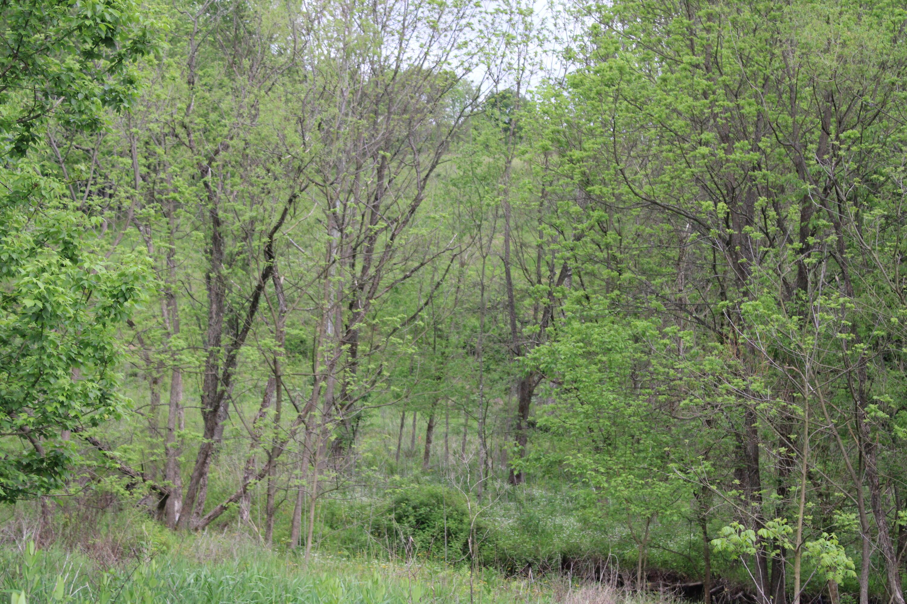 Township Rd 4, Frazeysburg, Ohio image 2