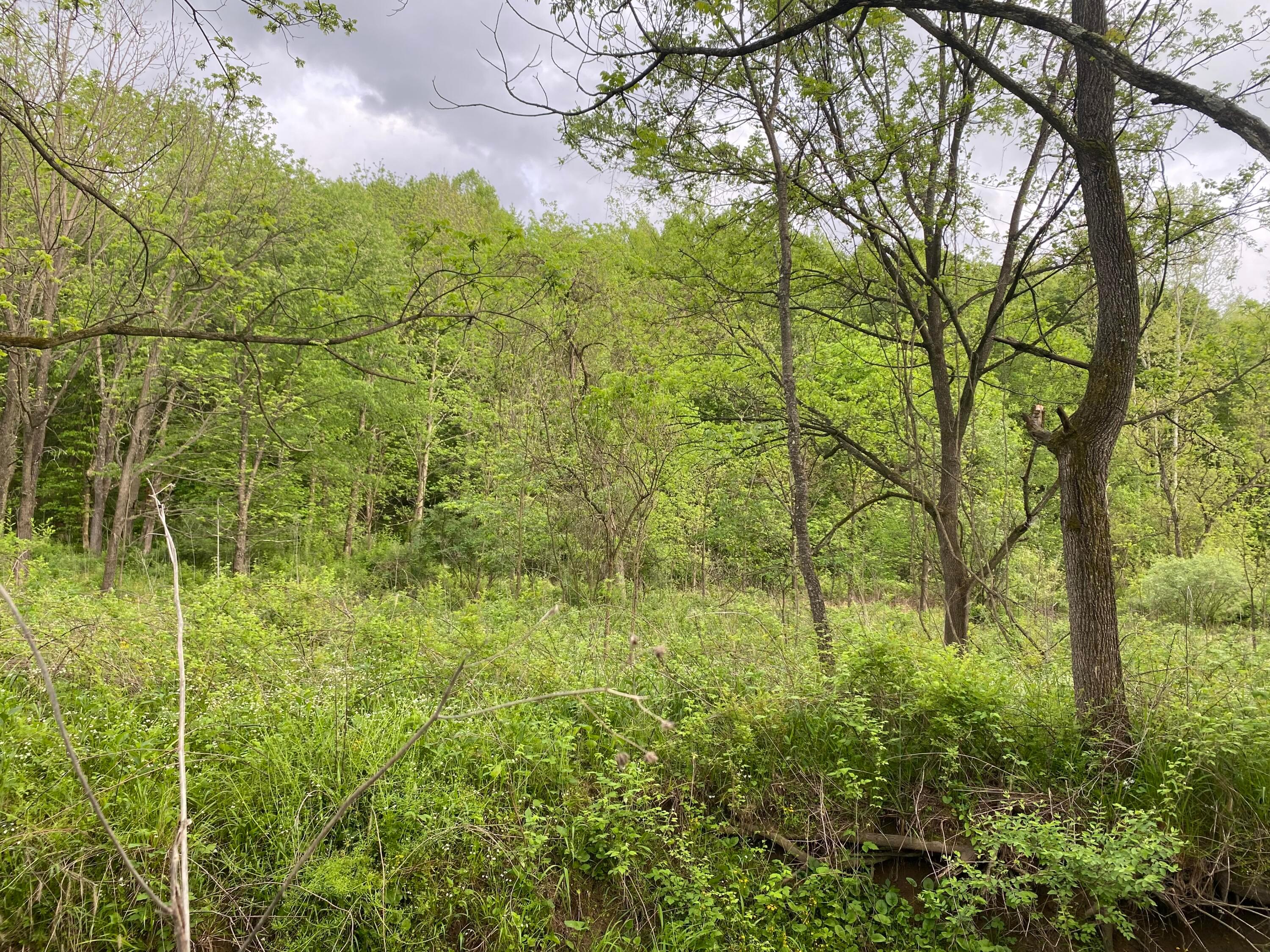 Township Rd 4, Frazeysburg, Ohio image 3