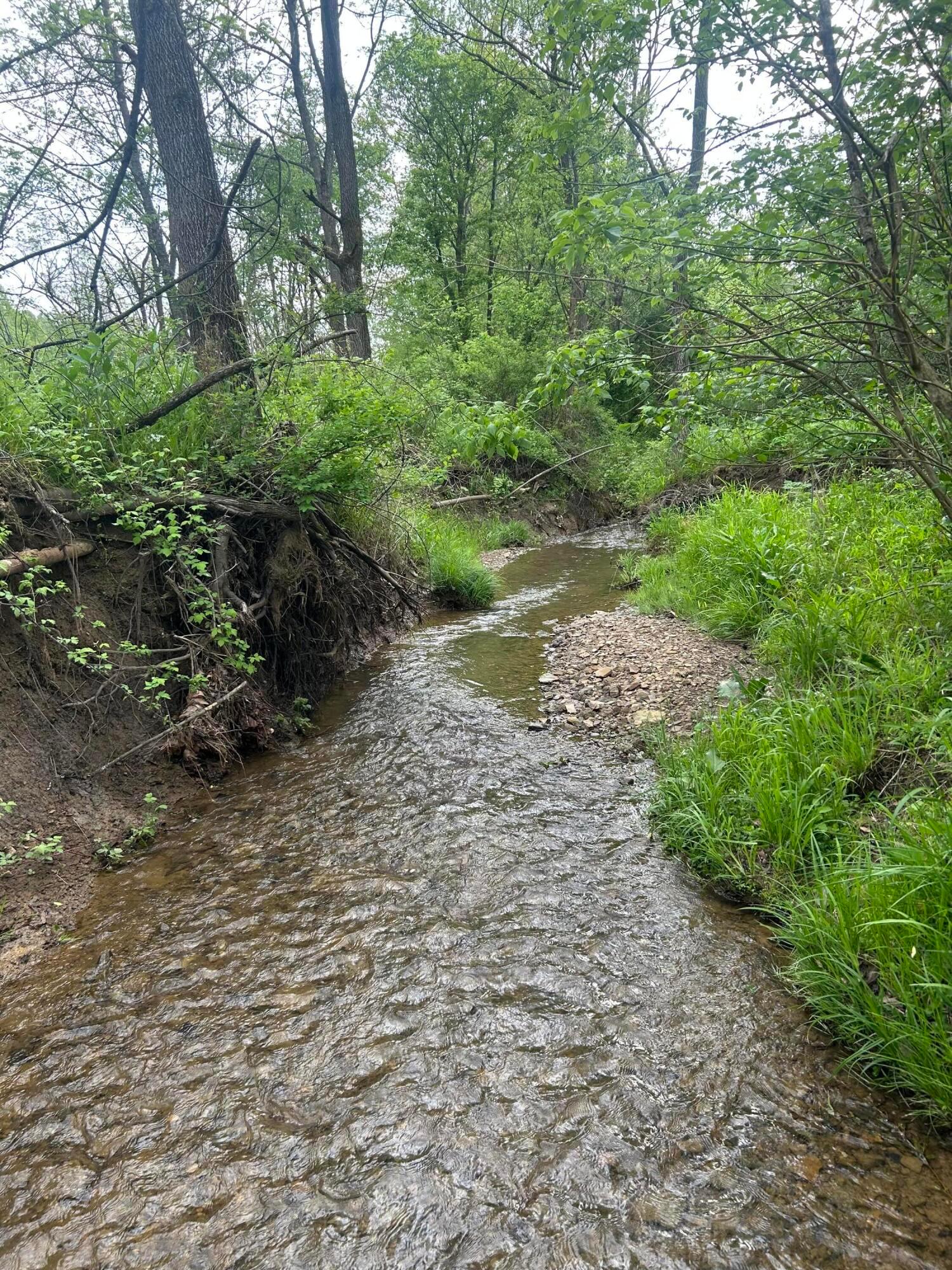 Township Rd 4, Frazeysburg, Ohio image 4
