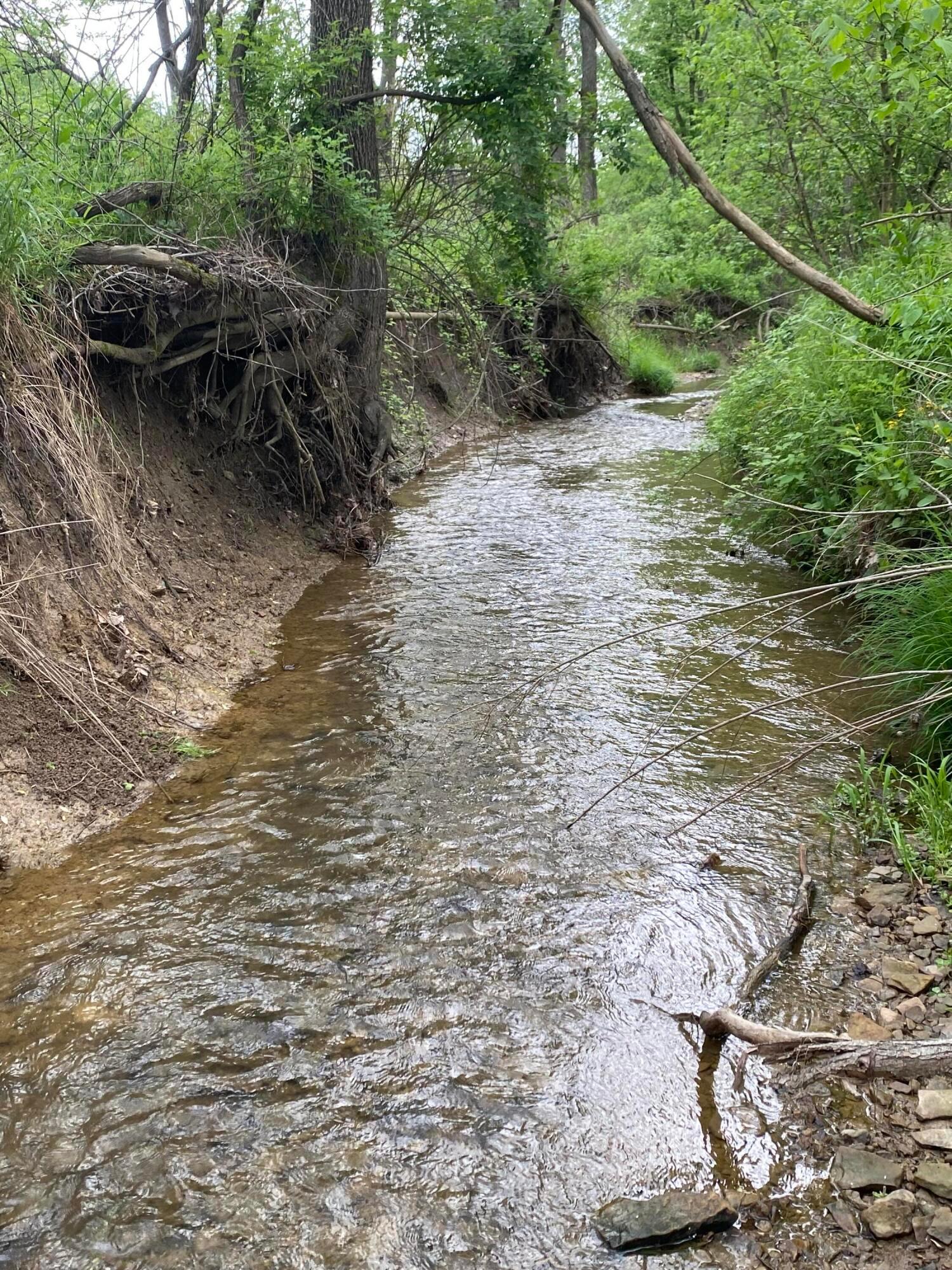 Township Rd 4, Frazeysburg, Ohio image 5