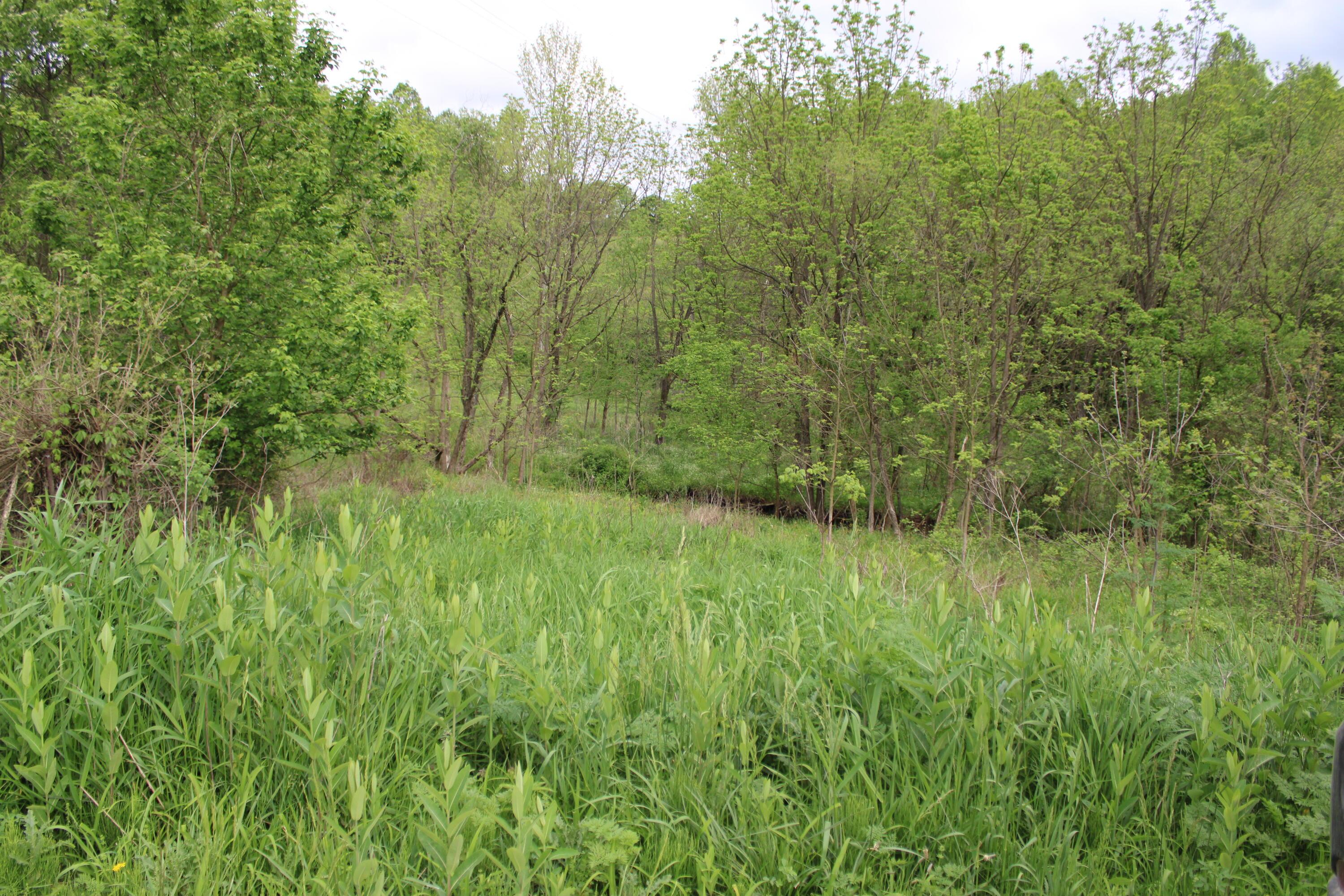 Township Rd 4, Frazeysburg, Ohio image 1