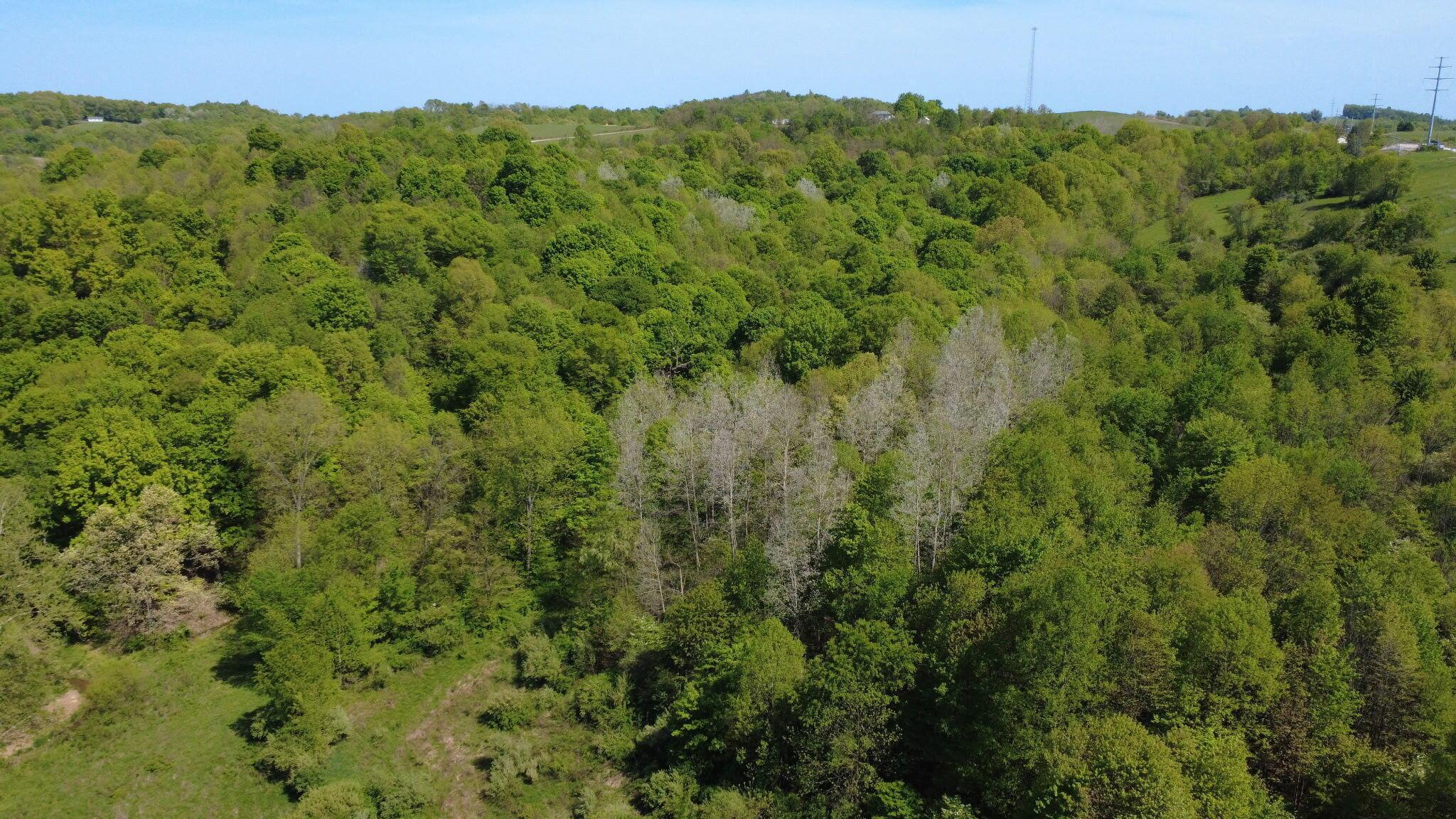 Township Rd 4, Frazeysburg, Ohio image 10